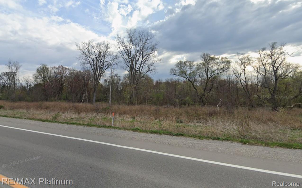 Vacant roadside land bordered by dry grass and leafless trees, with a paved road in the foreground.