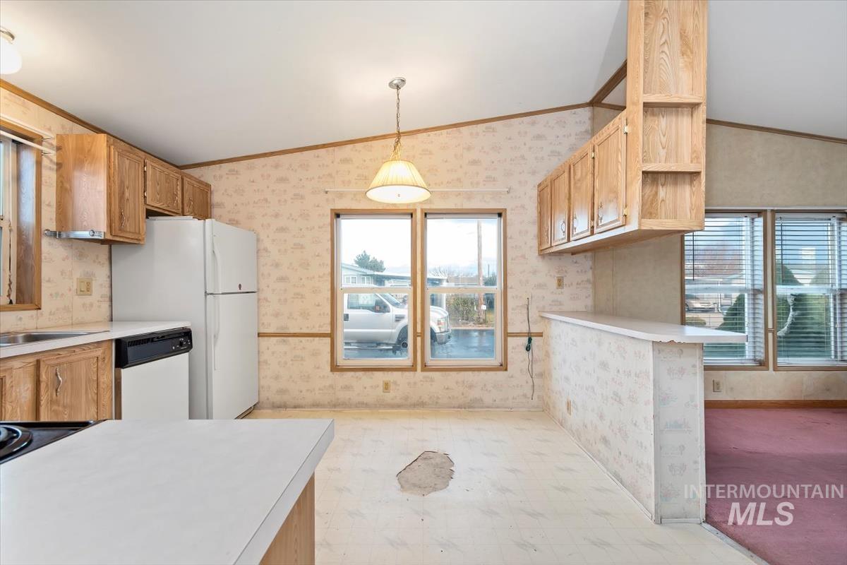 2804 Golden Rod Lane