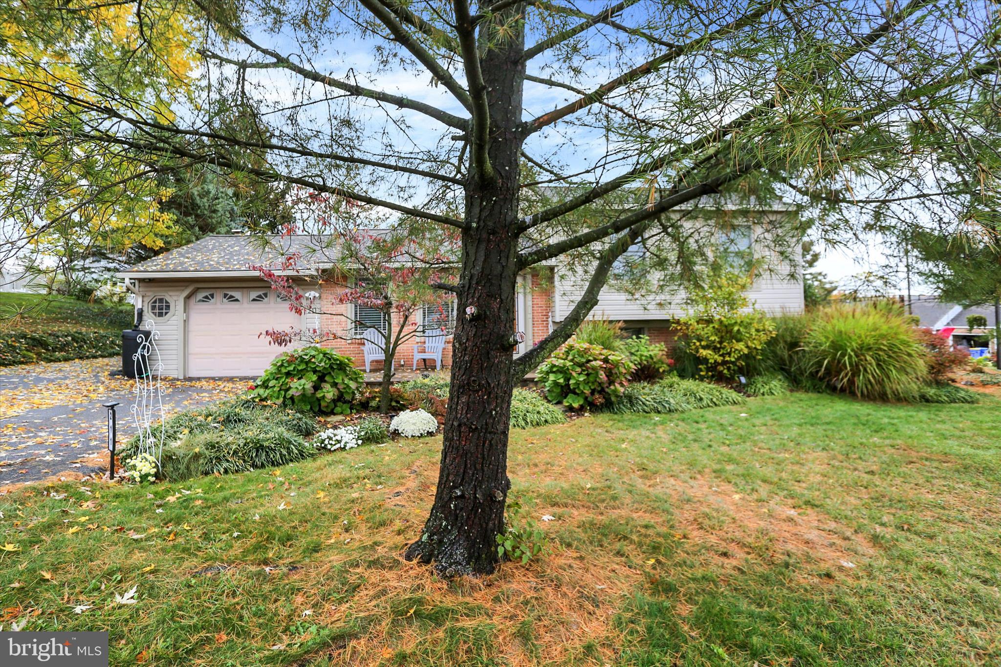 211 EDDINGTON AVENUE