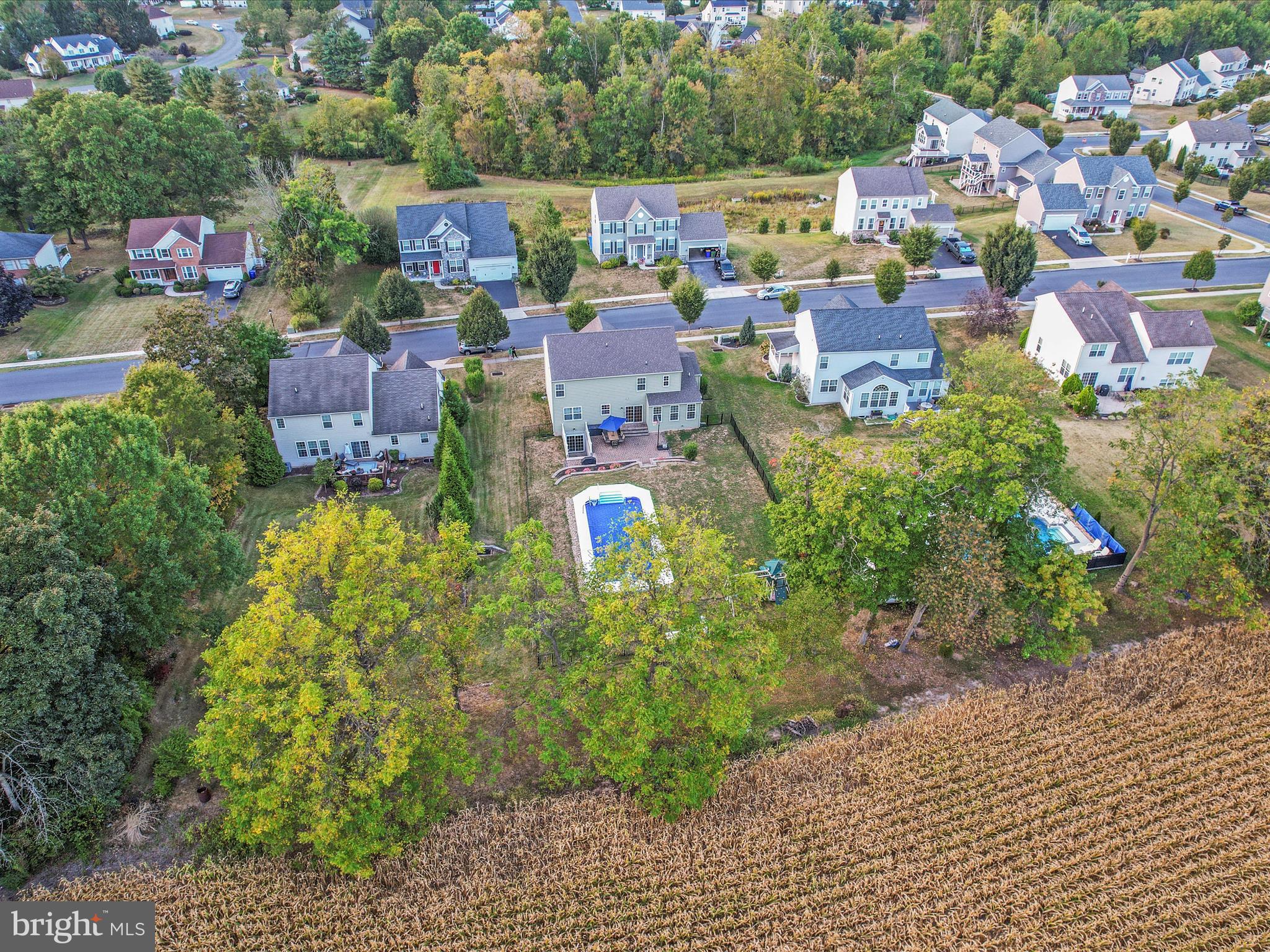 32 SPEND A BUCK DRIVE