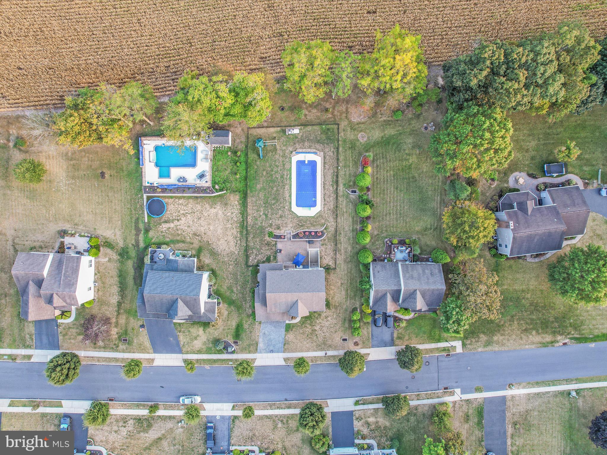 32 SPEND A BUCK DRIVE