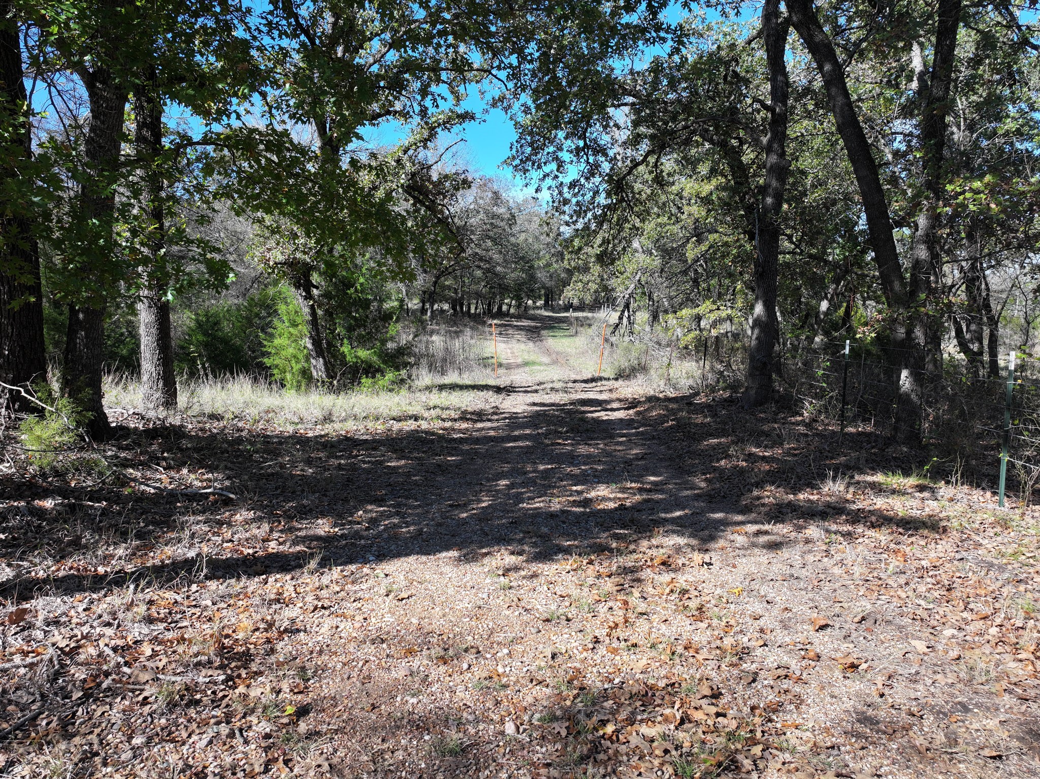 1009 County Road 412