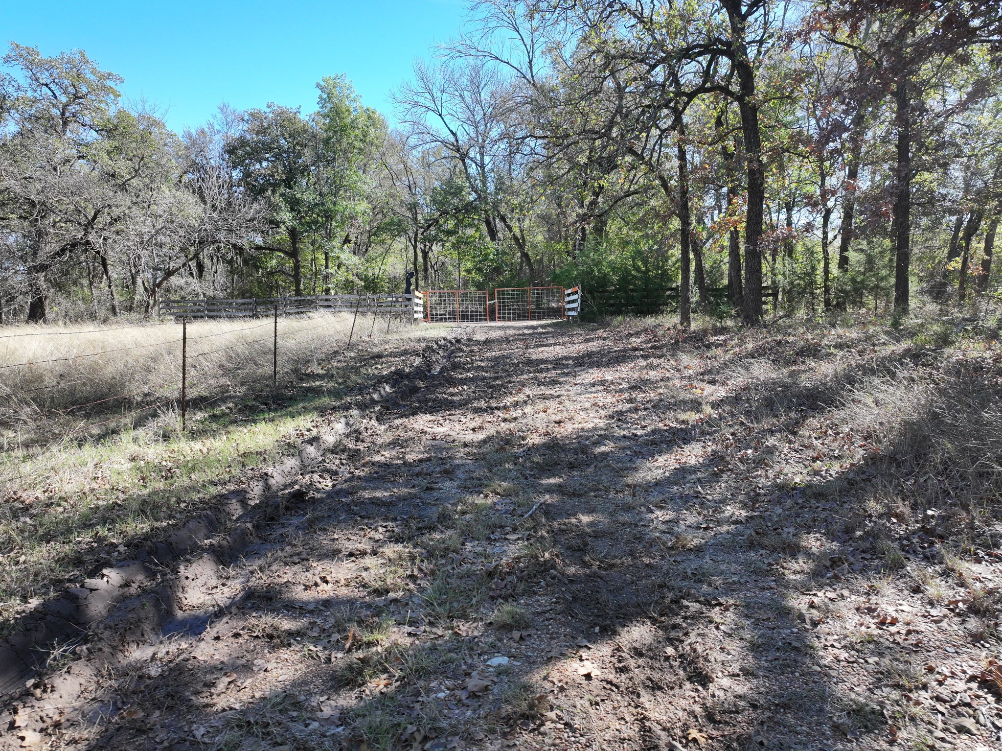 1009 County Road 412