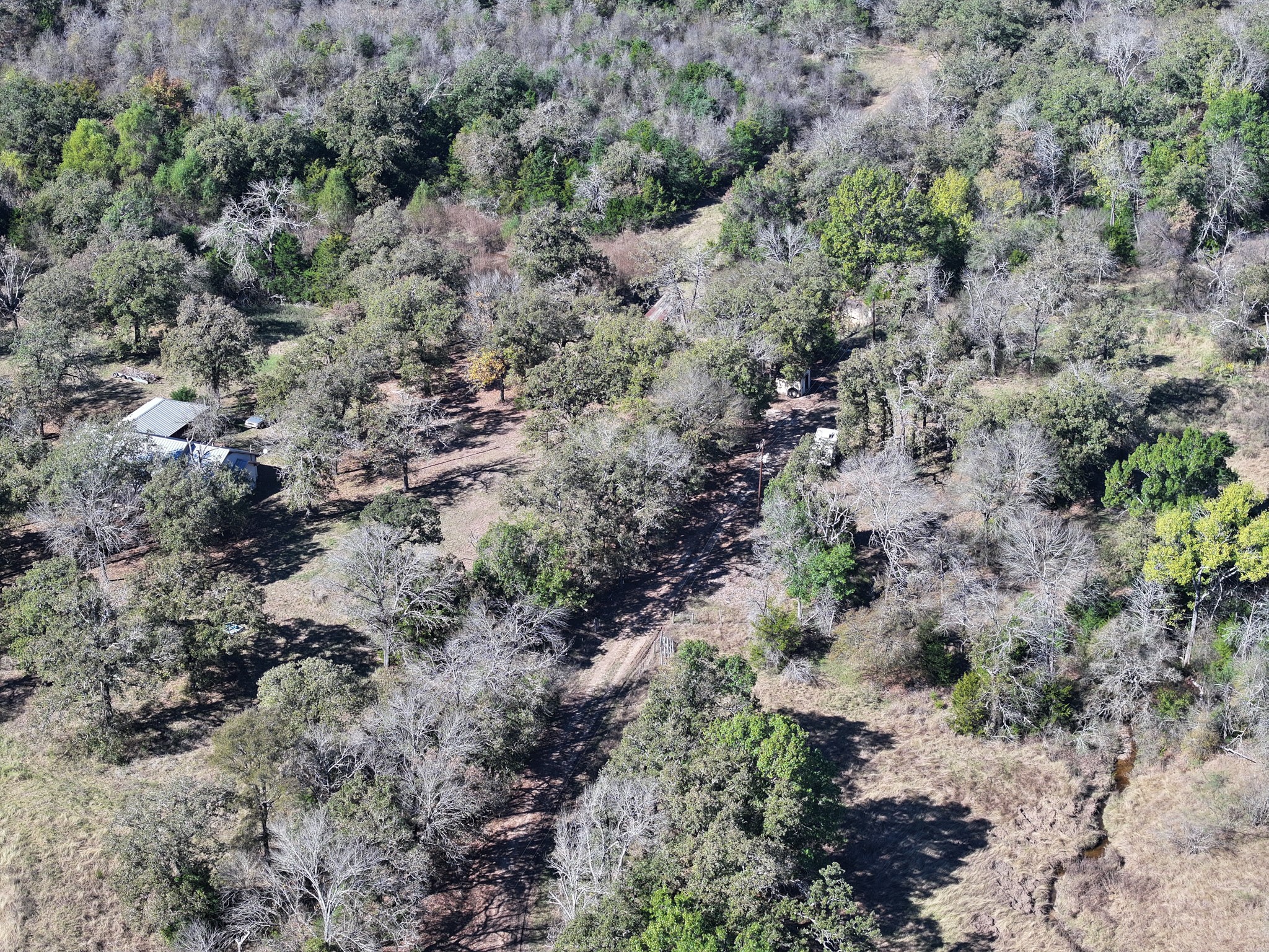1009 County Road 412