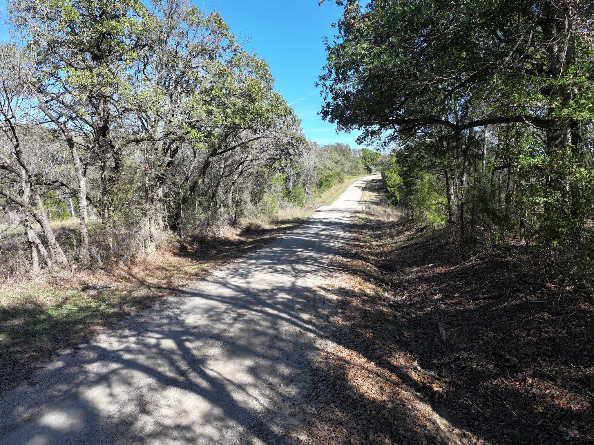 1009 County Road 412