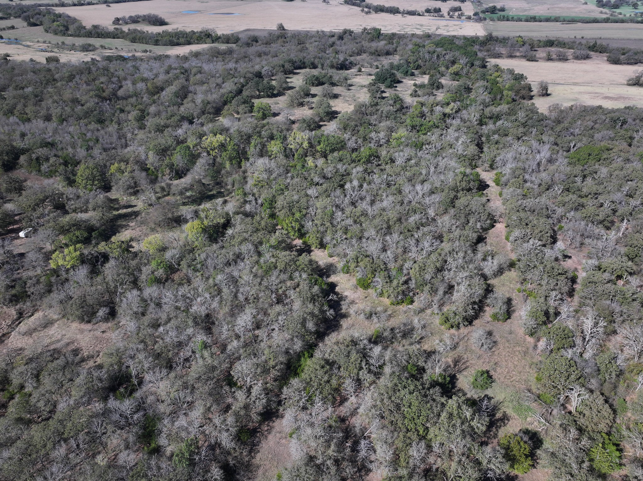 1009 County Road 412