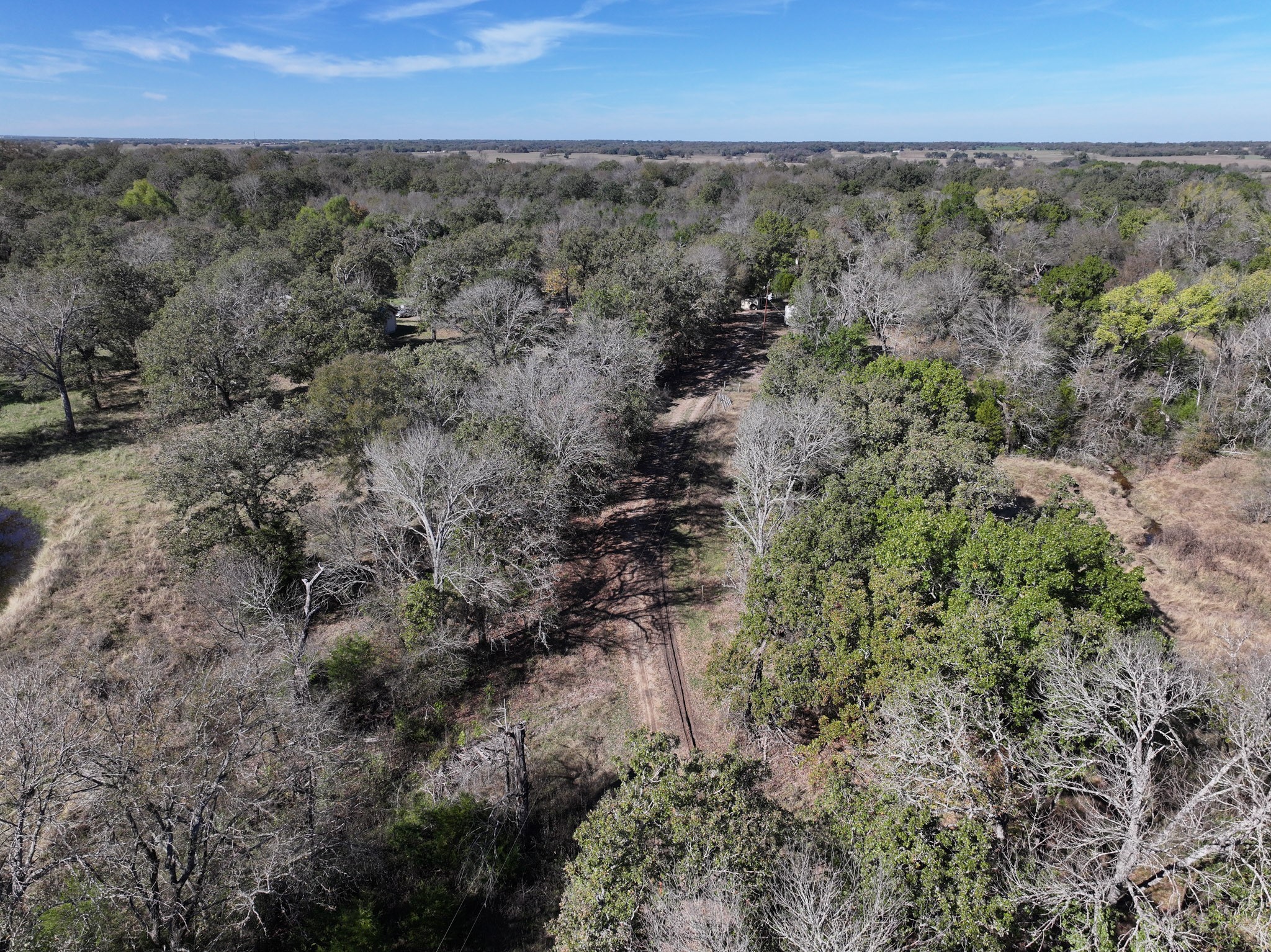 1009 County Road 412