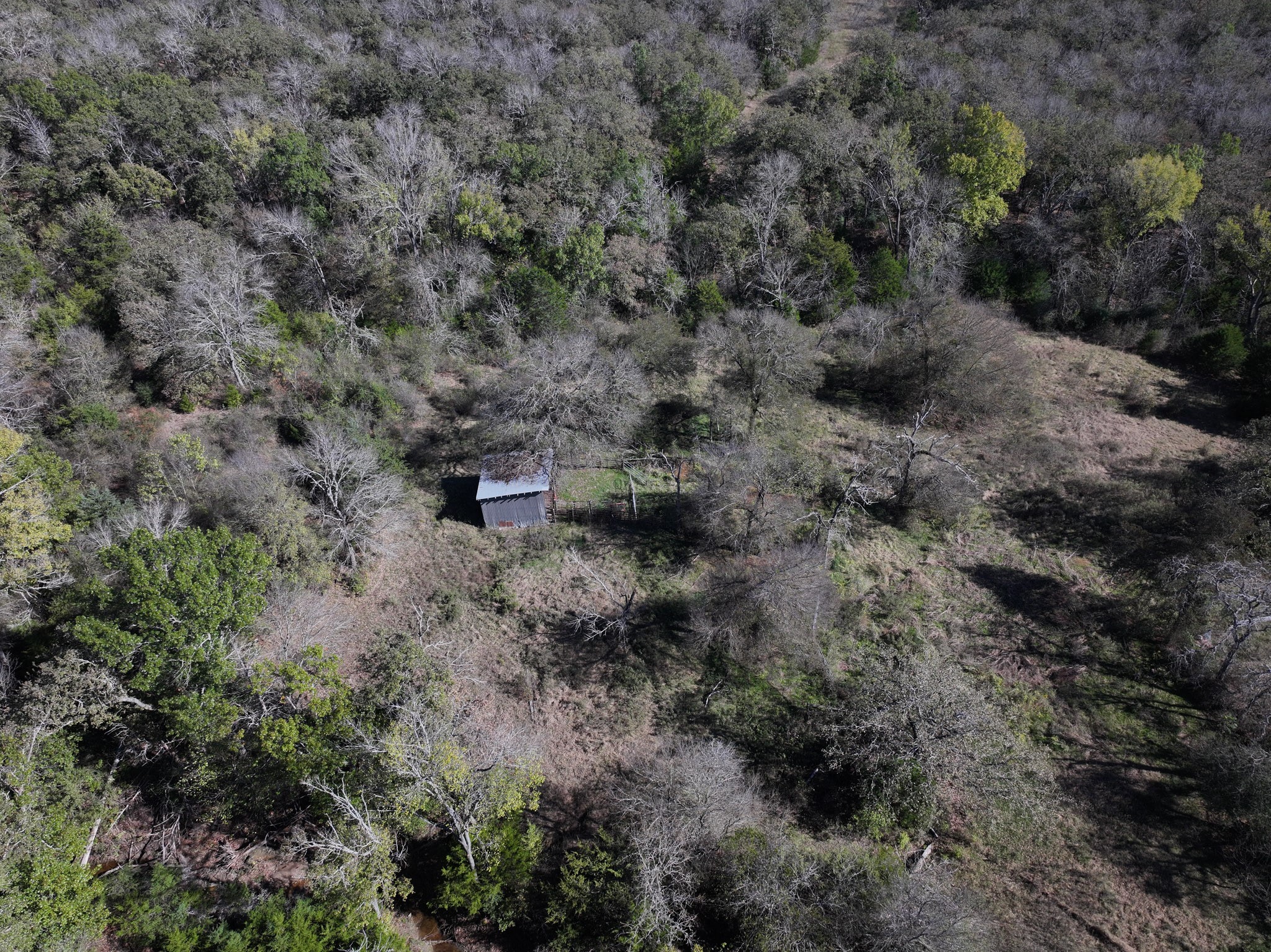 1009 County Road 412