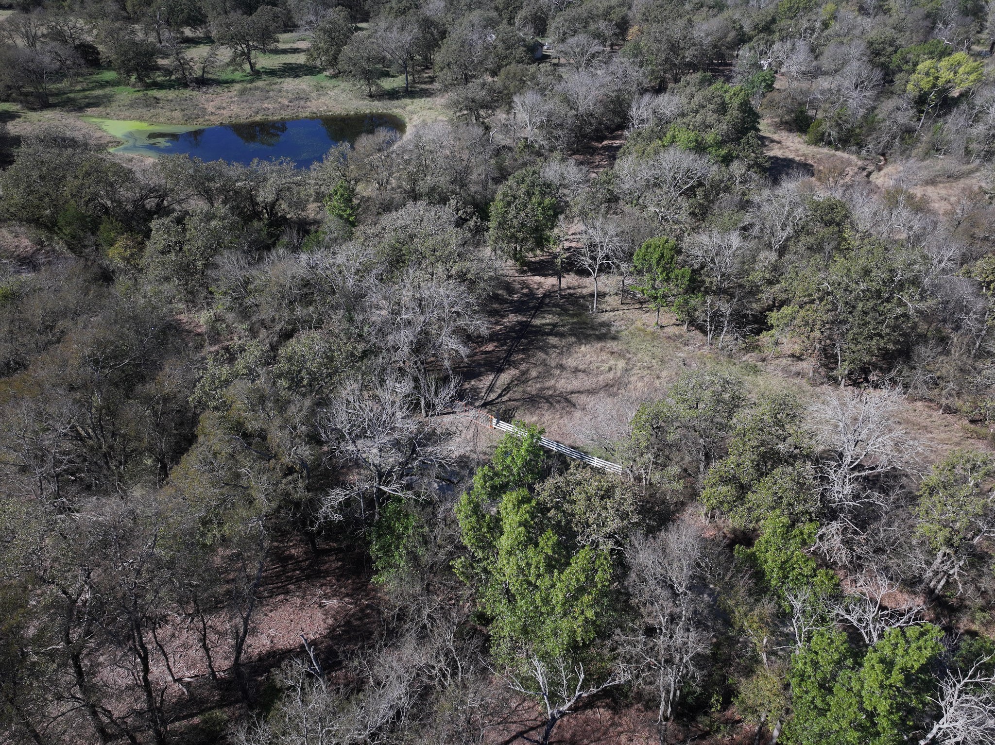 1009 County Road 412