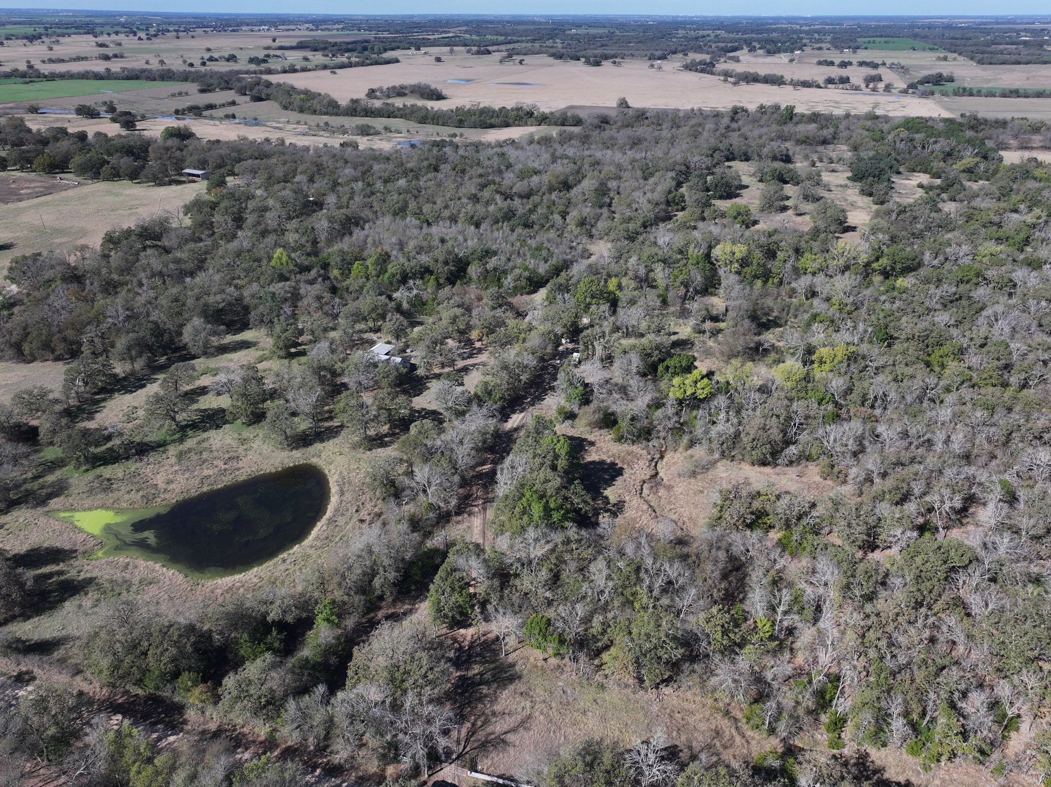 1009 County Road 412
