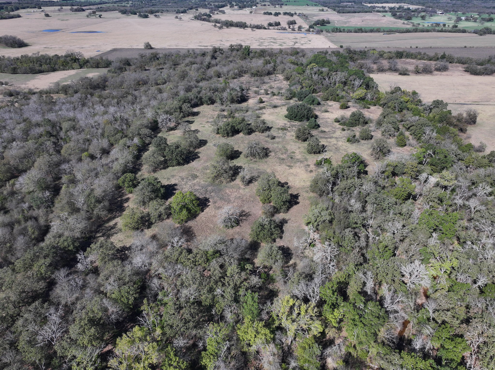 1009 County Road 412