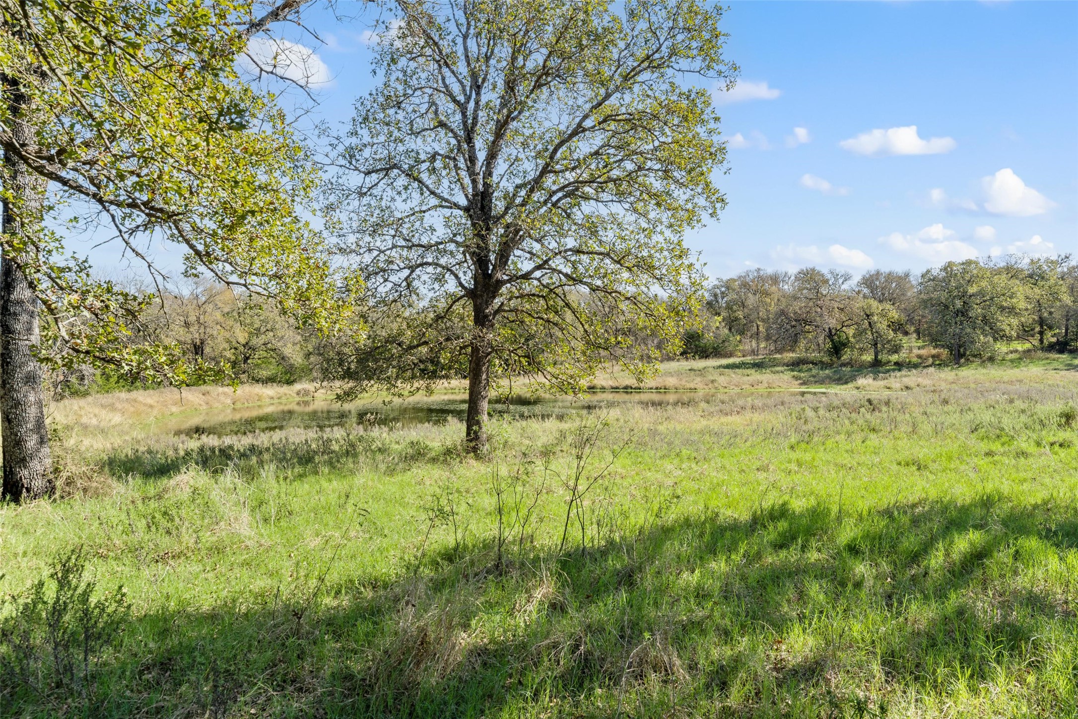 1009 County Road 412