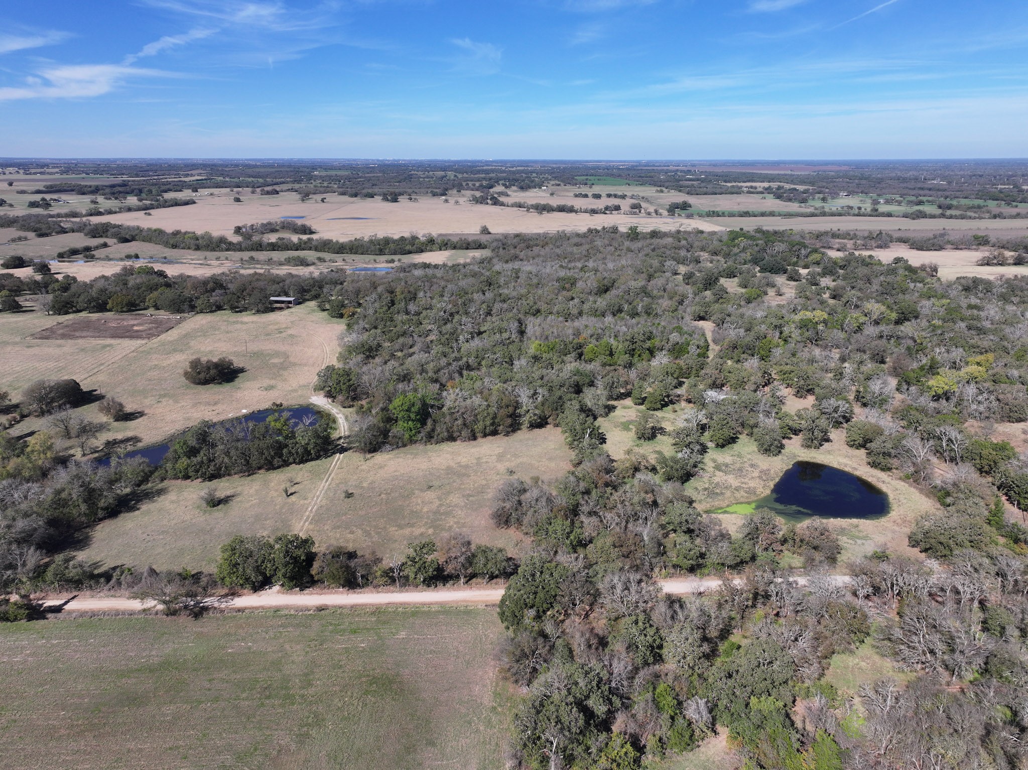 1009 County Road 412