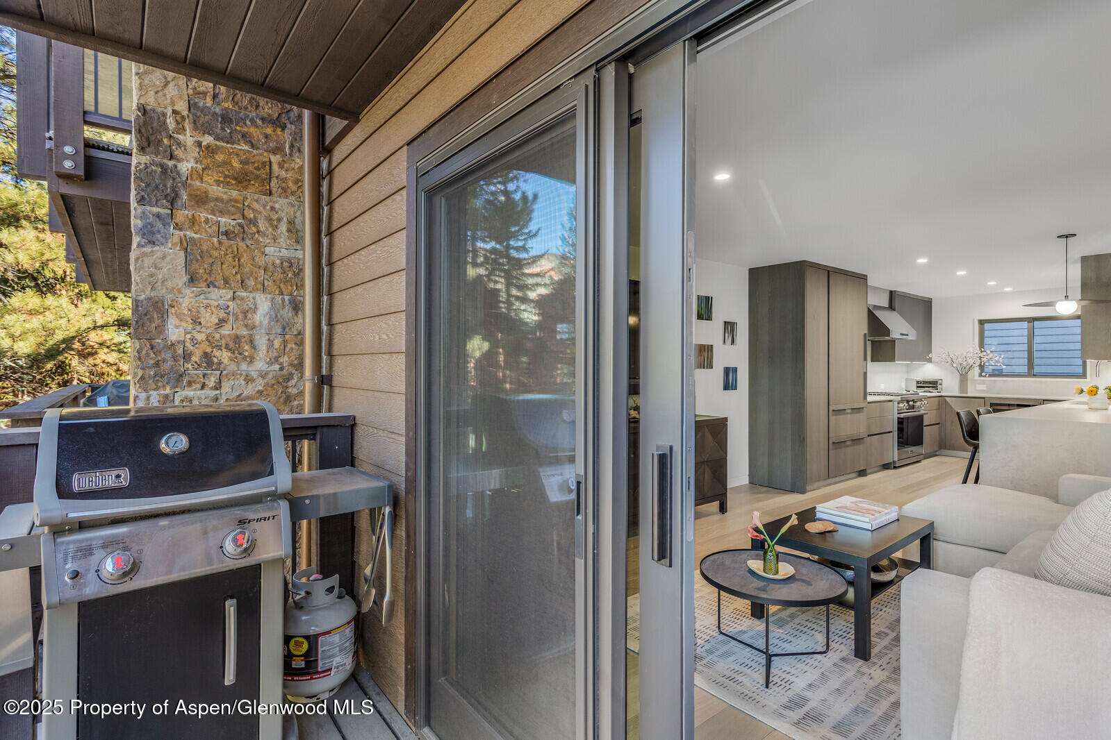 650 S Monarch Street Unit 7