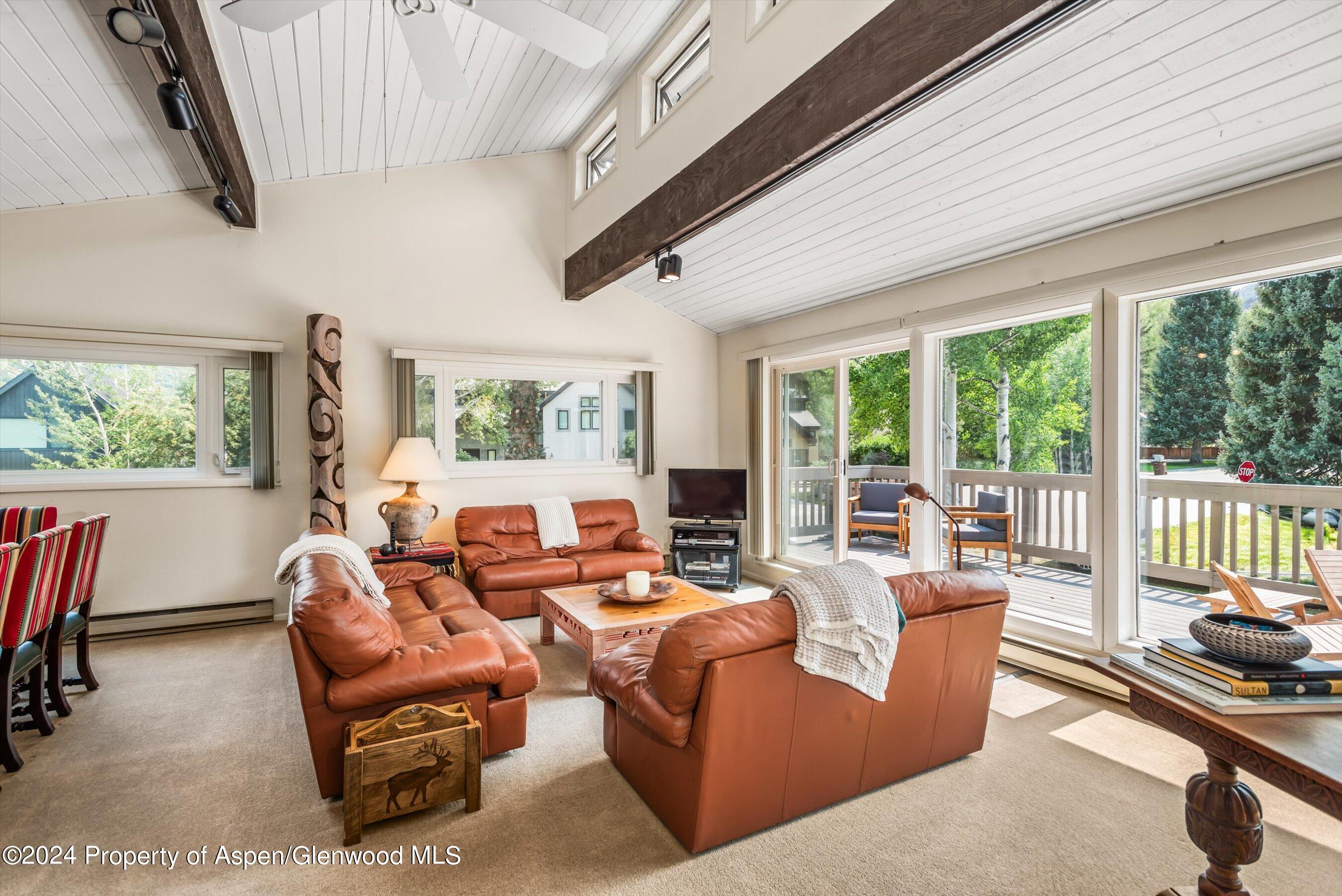 1275 Snowbunny Lane 2