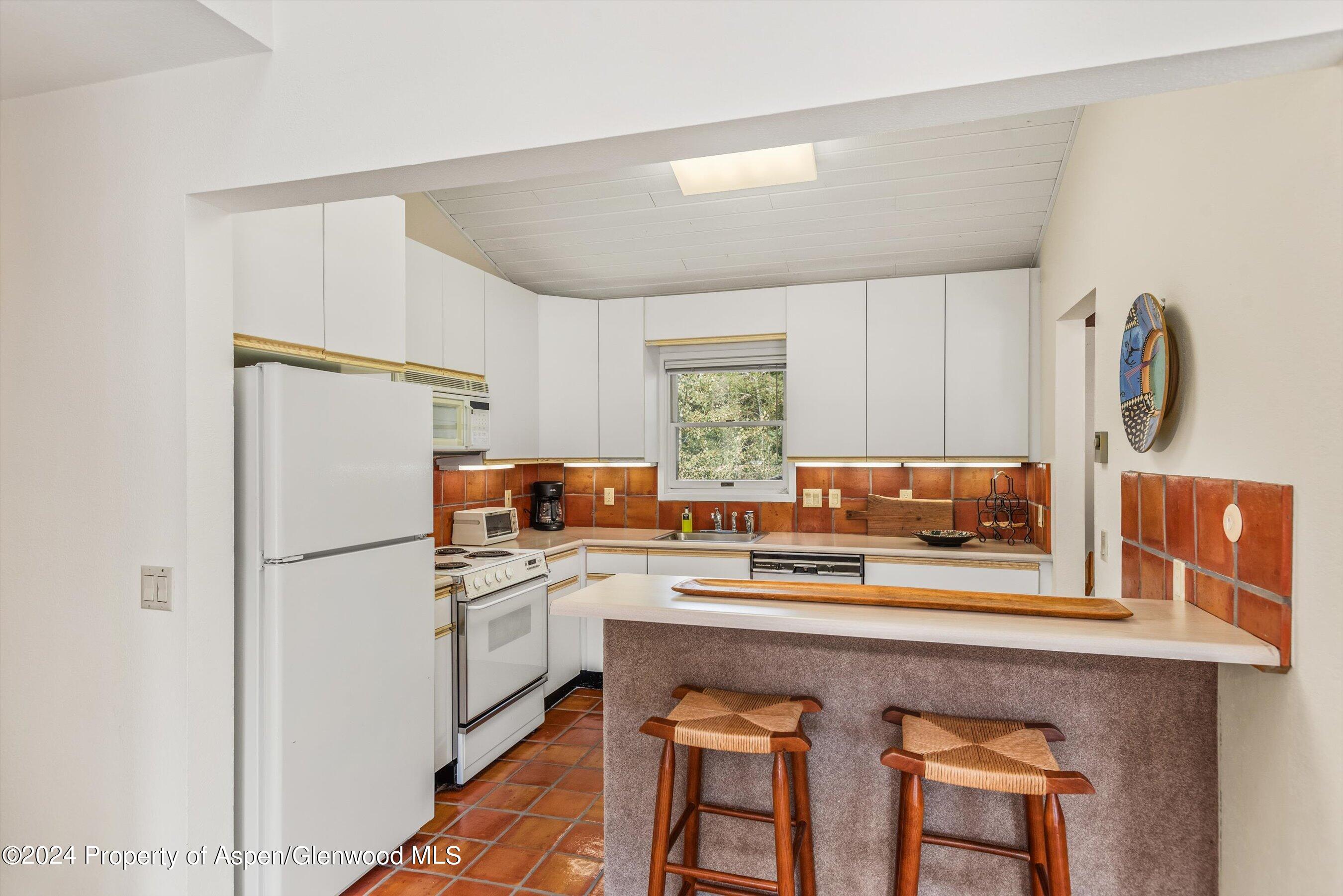 1275 Snowbunny Lane 2