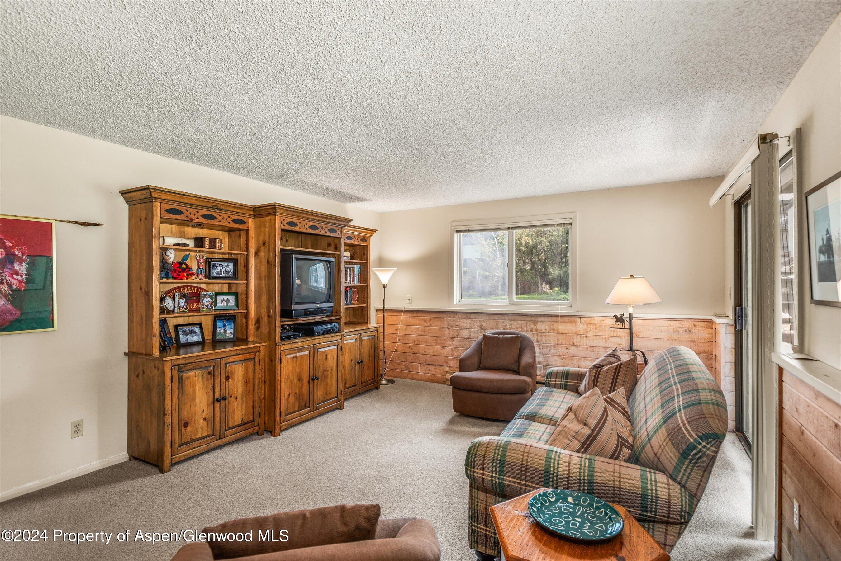1275 Snowbunny Lane 2