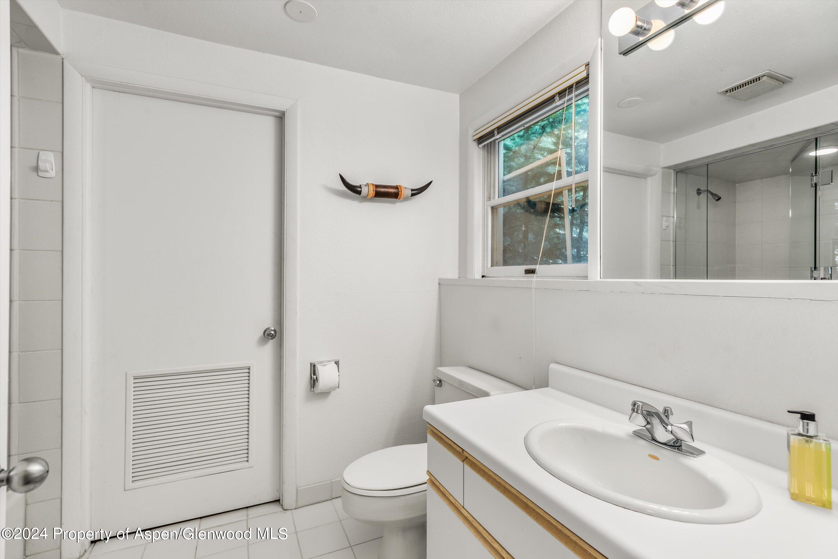 1275 Snowbunny Lane 2