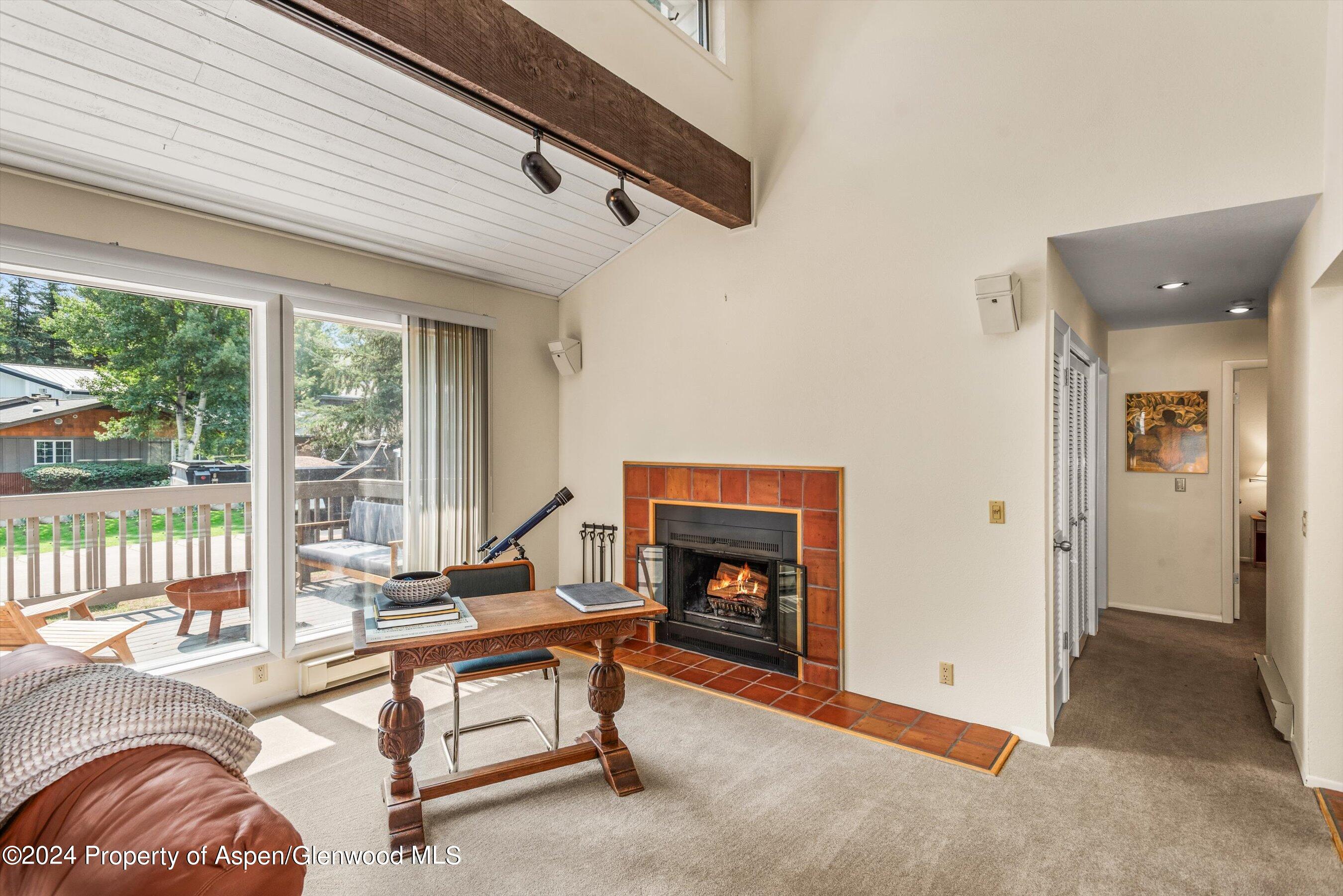 1275 Snowbunny Lane 2