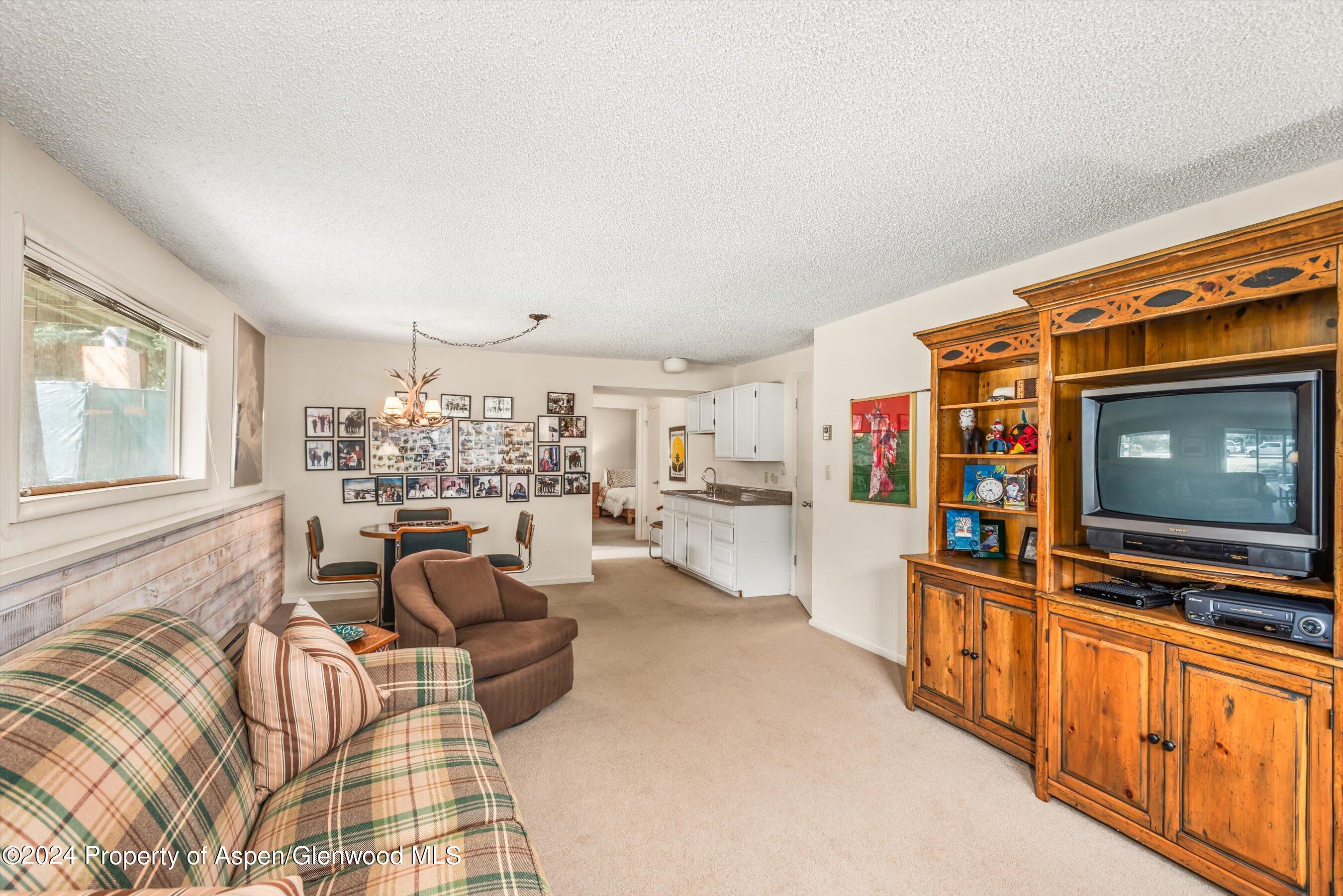 1275 Snowbunny Lane 2