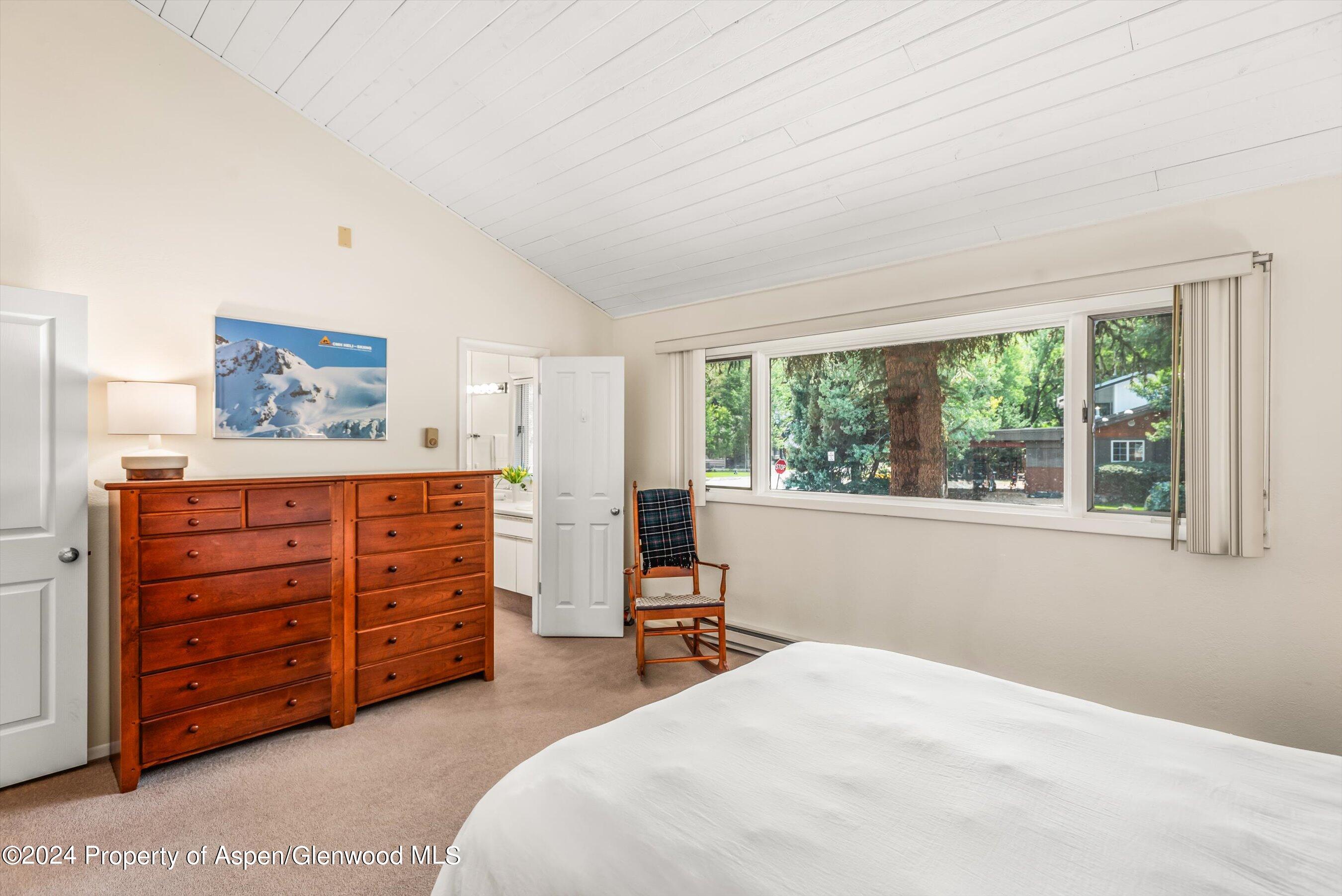 1275 Snowbunny Lane 2