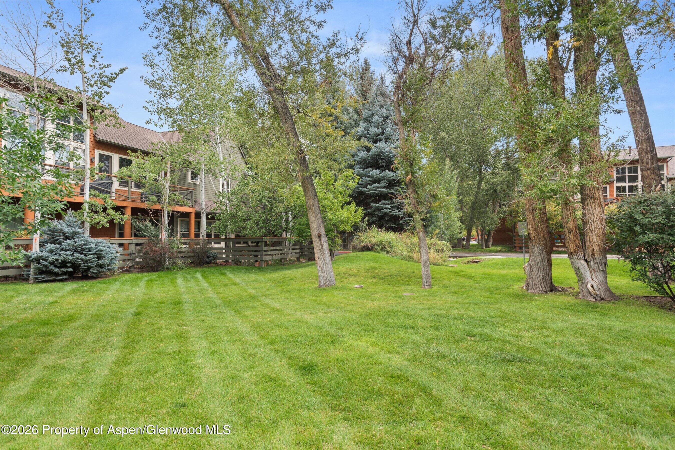 Shared lawn and mature trees beside multi-story residential buildings.