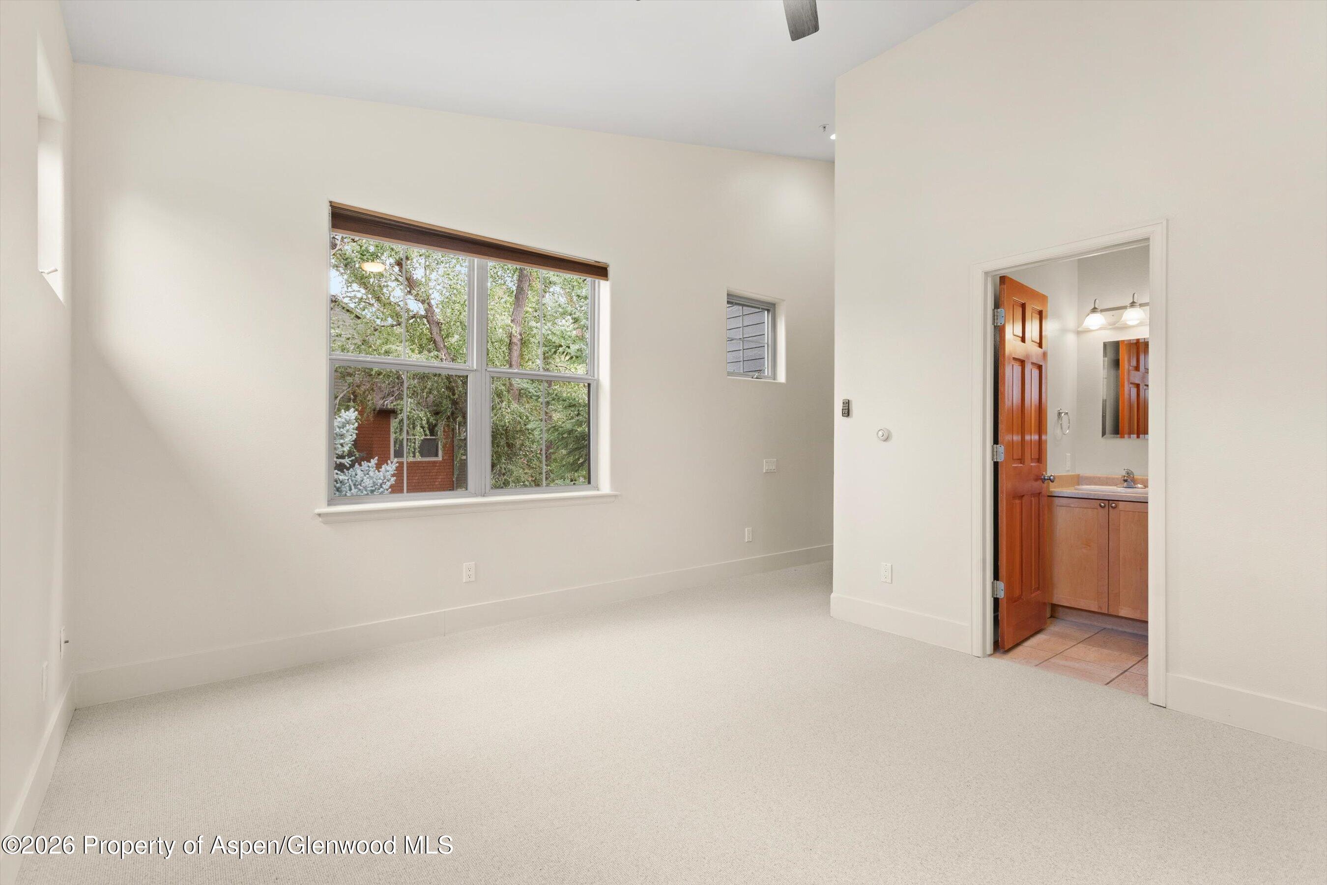 Empty carpeted bedroom with a large leafy-view window and an open doorway to the bathroom.