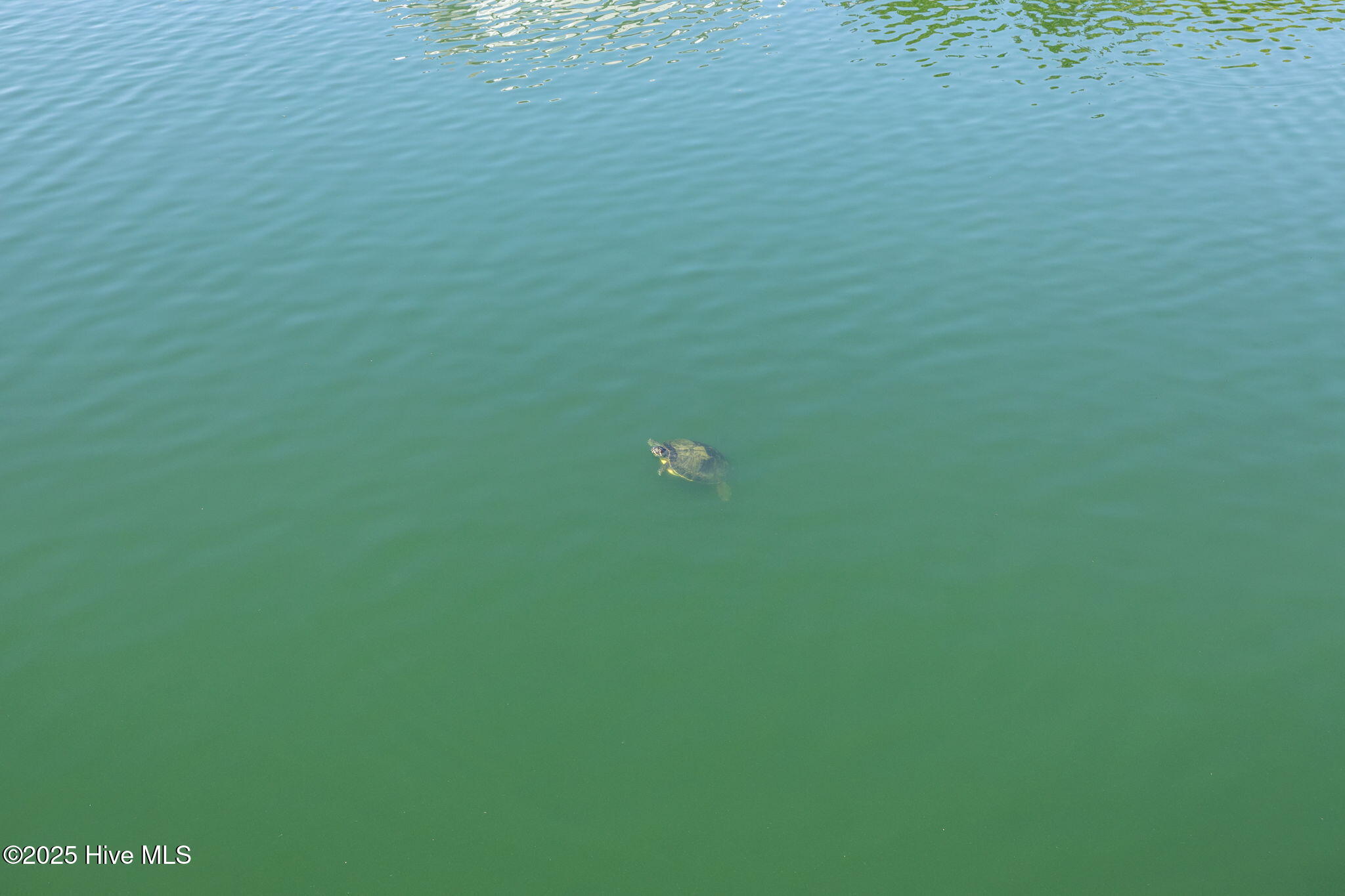 130 Salter Path Road, Q83