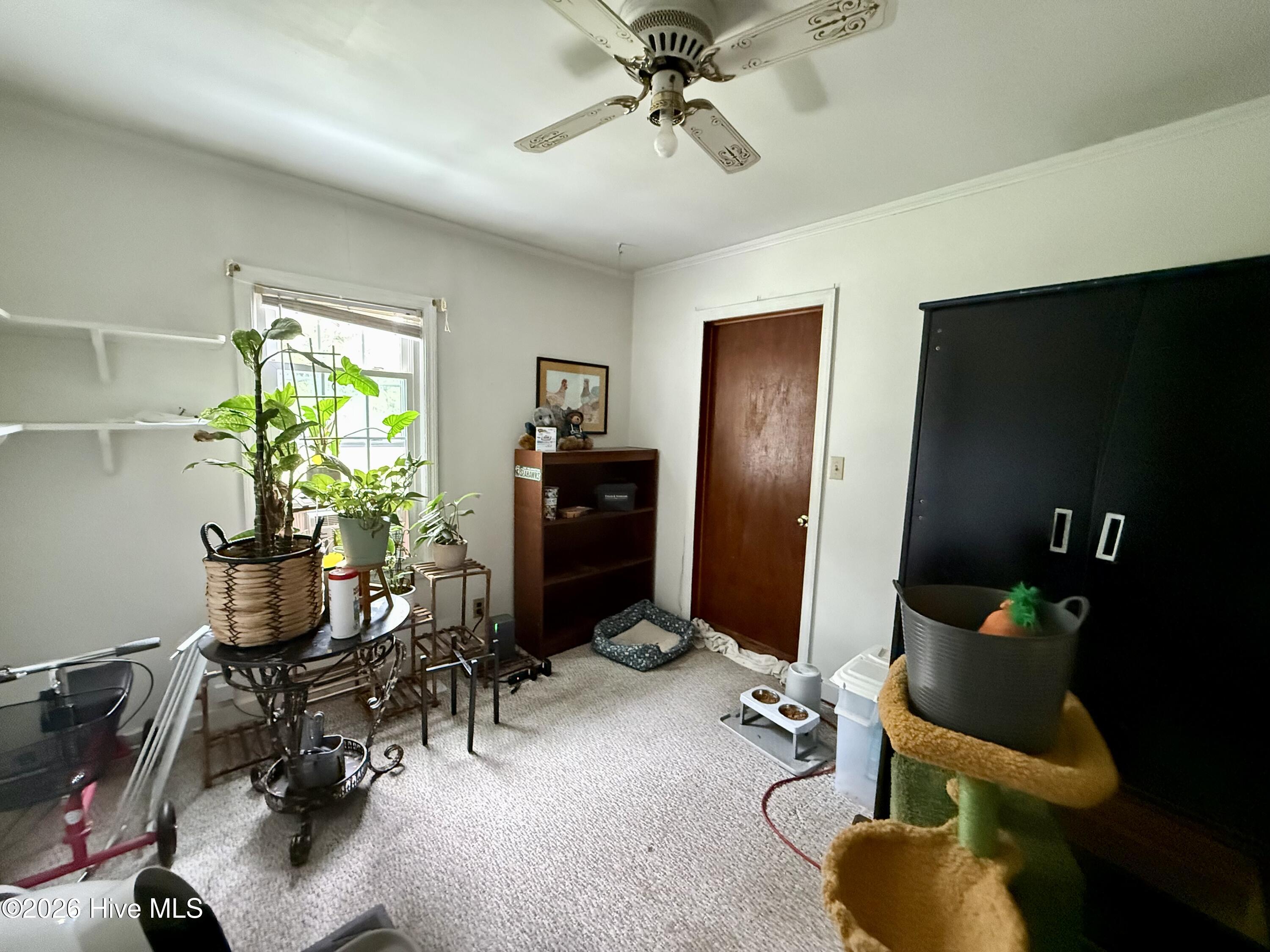 238 Old Nassau Road
