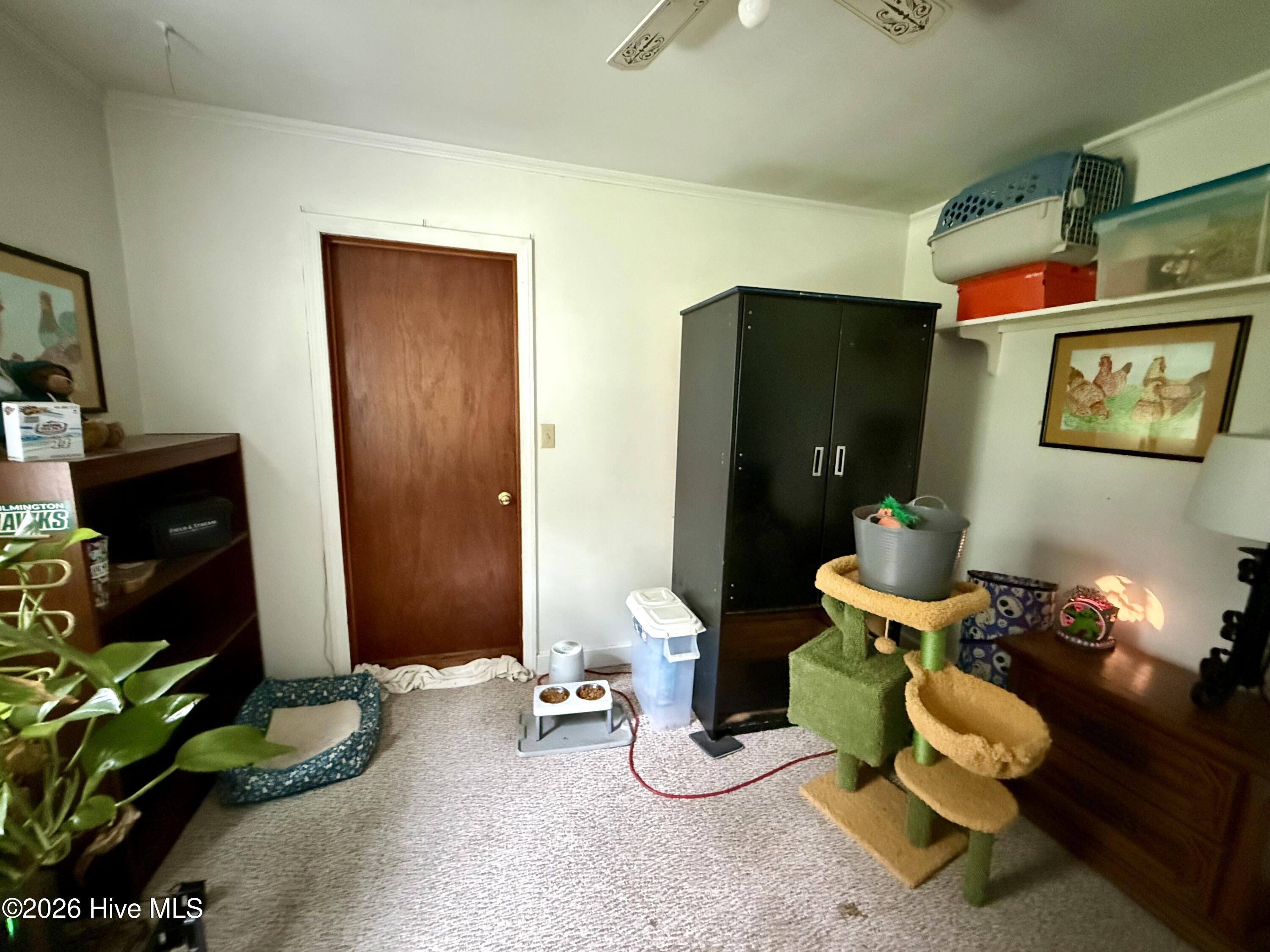 238 Old Nassau Road