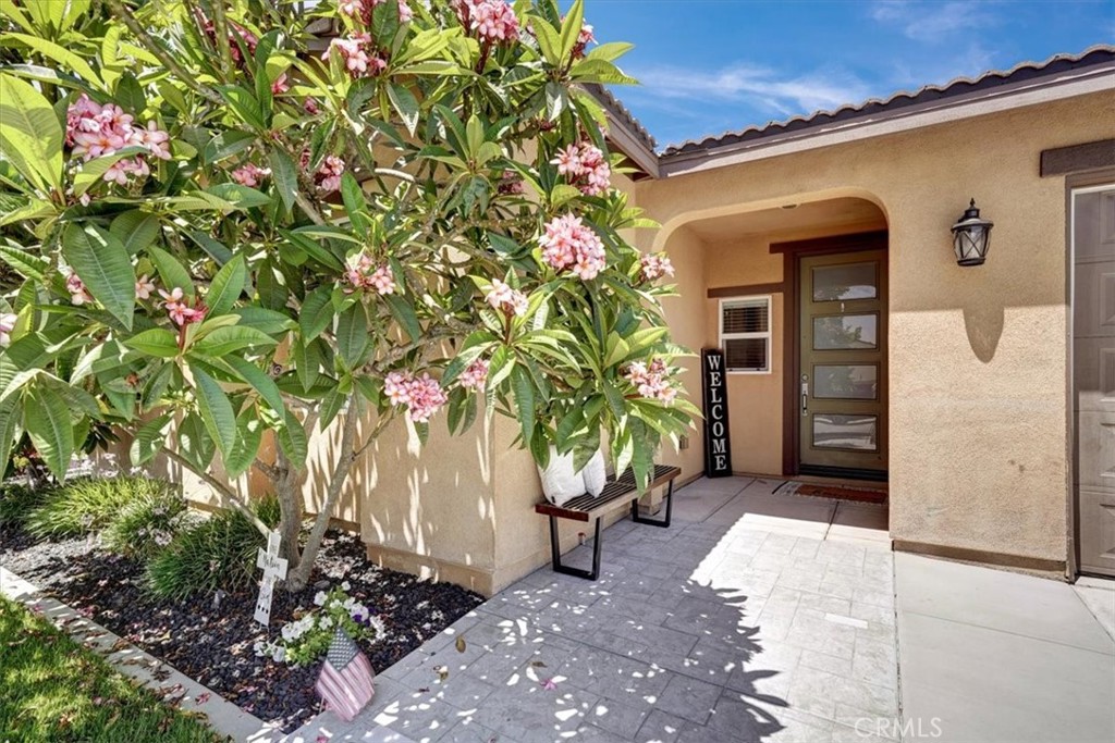 7043 Stockton Drive