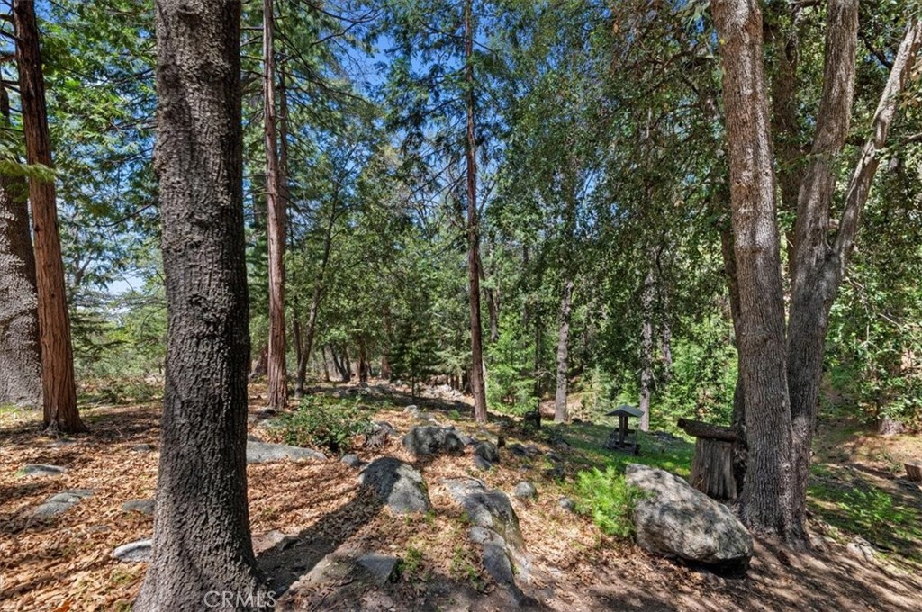23075 Oak Leaf Lane