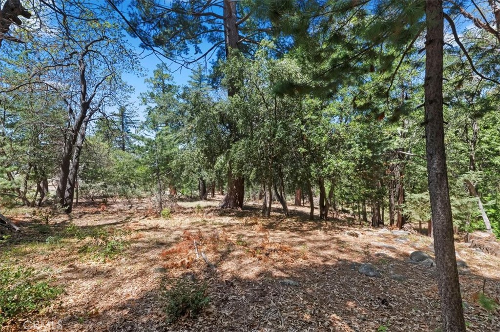 23075 Oak Leaf Lane