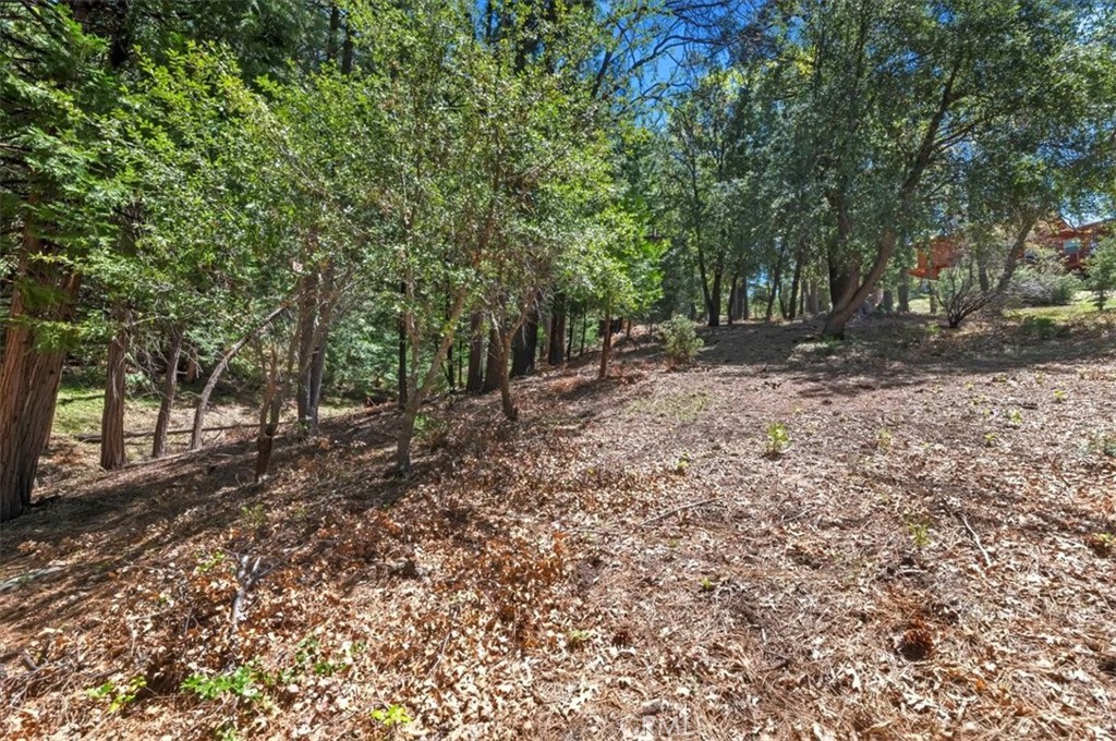 23075 Oak Leaf Lane