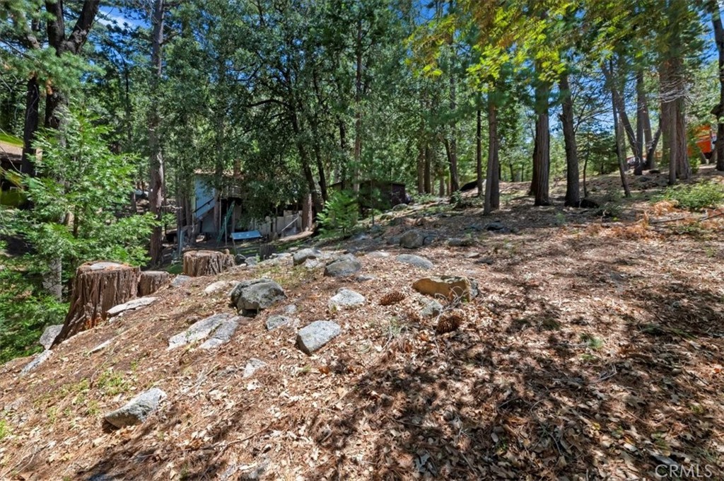 23075 Oak Leaf Lane