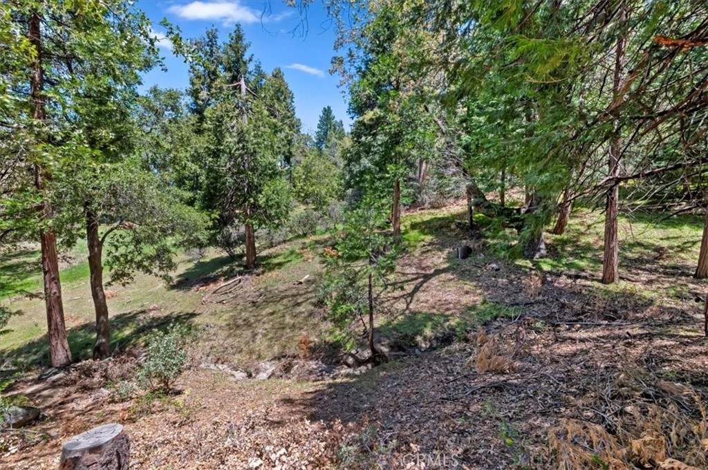23075 Oak Leaf Lane