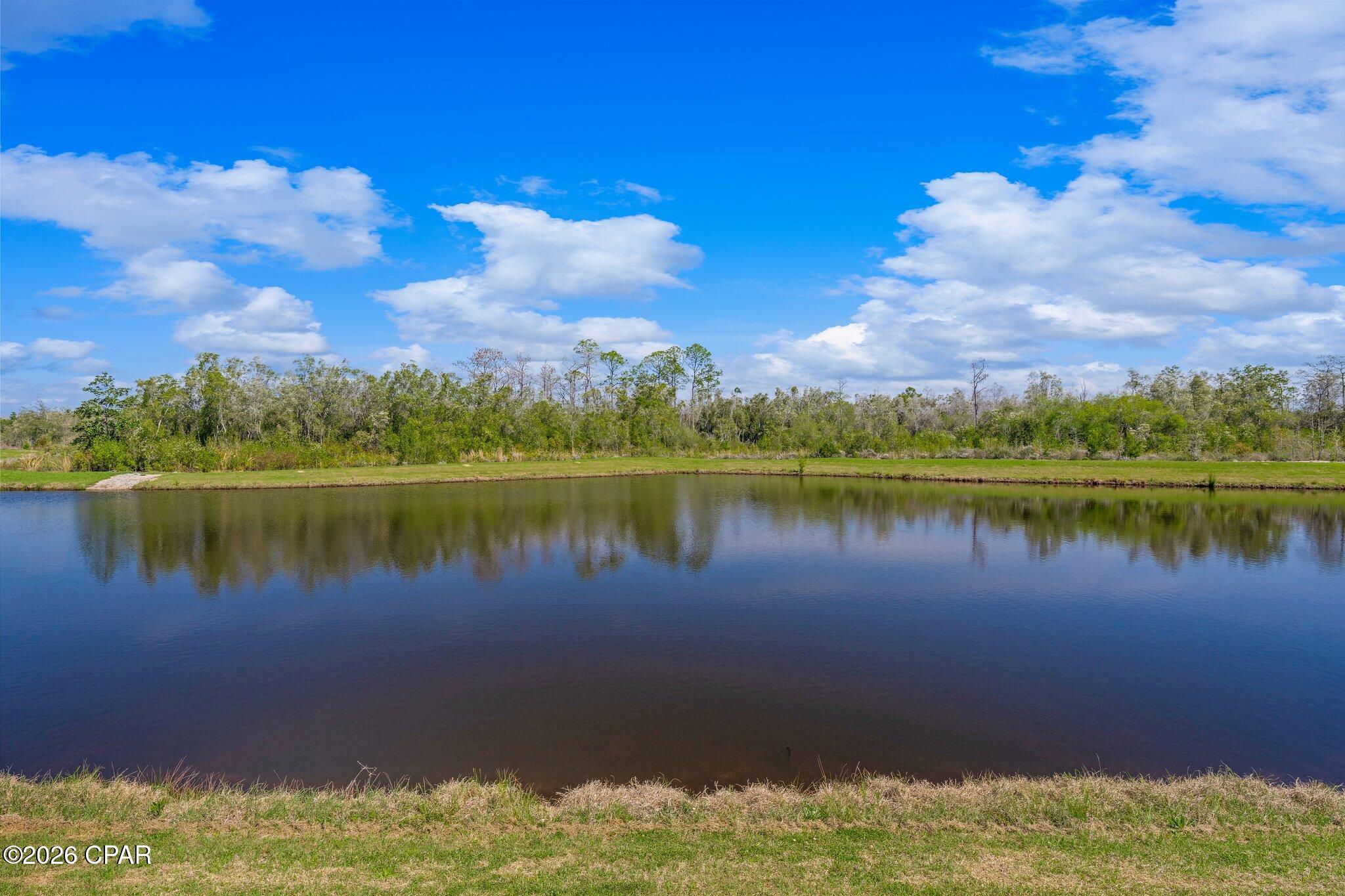 Pond reflecting trees beneath a bright, cloud-filled sky, with grassy banks.
