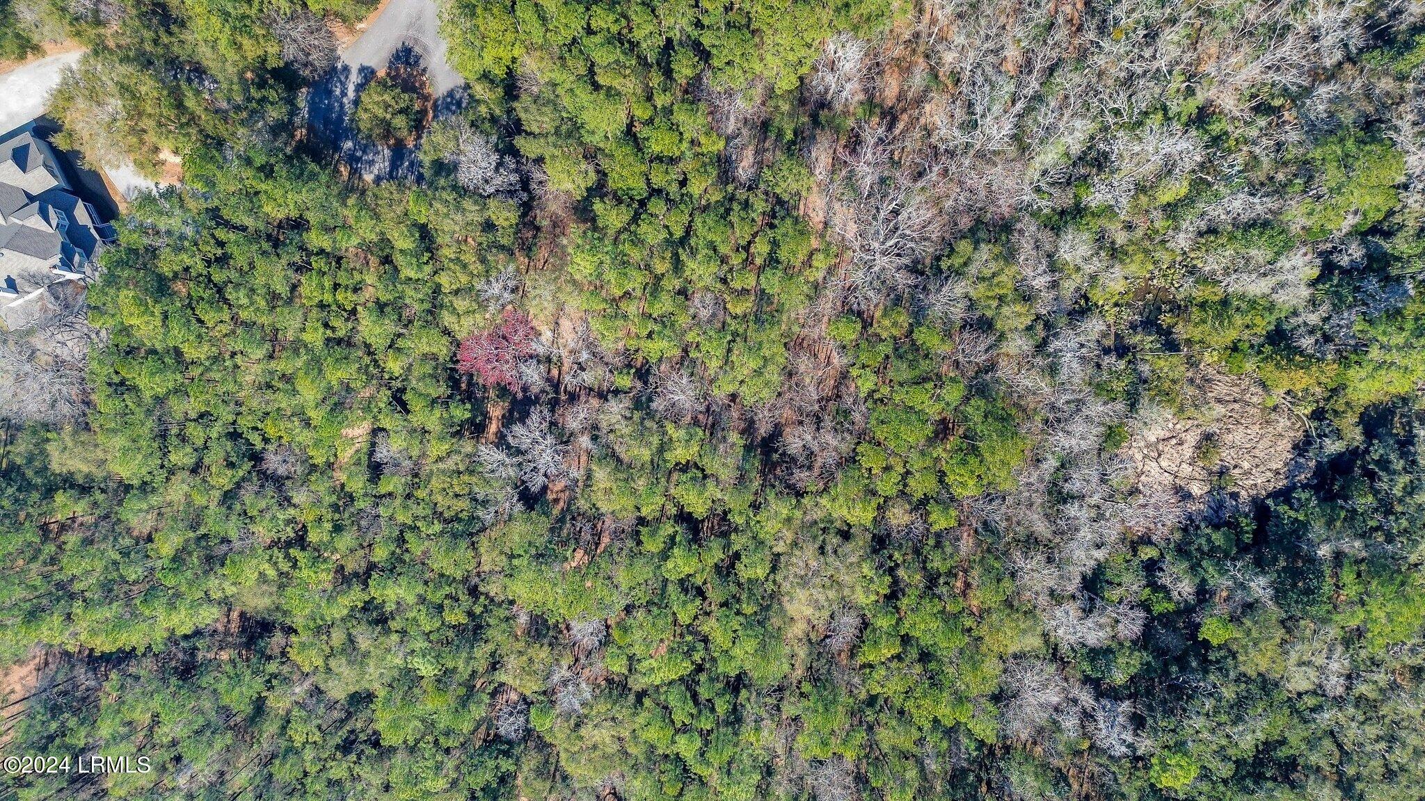 83 Rose Dhu Creek Plantation Drive