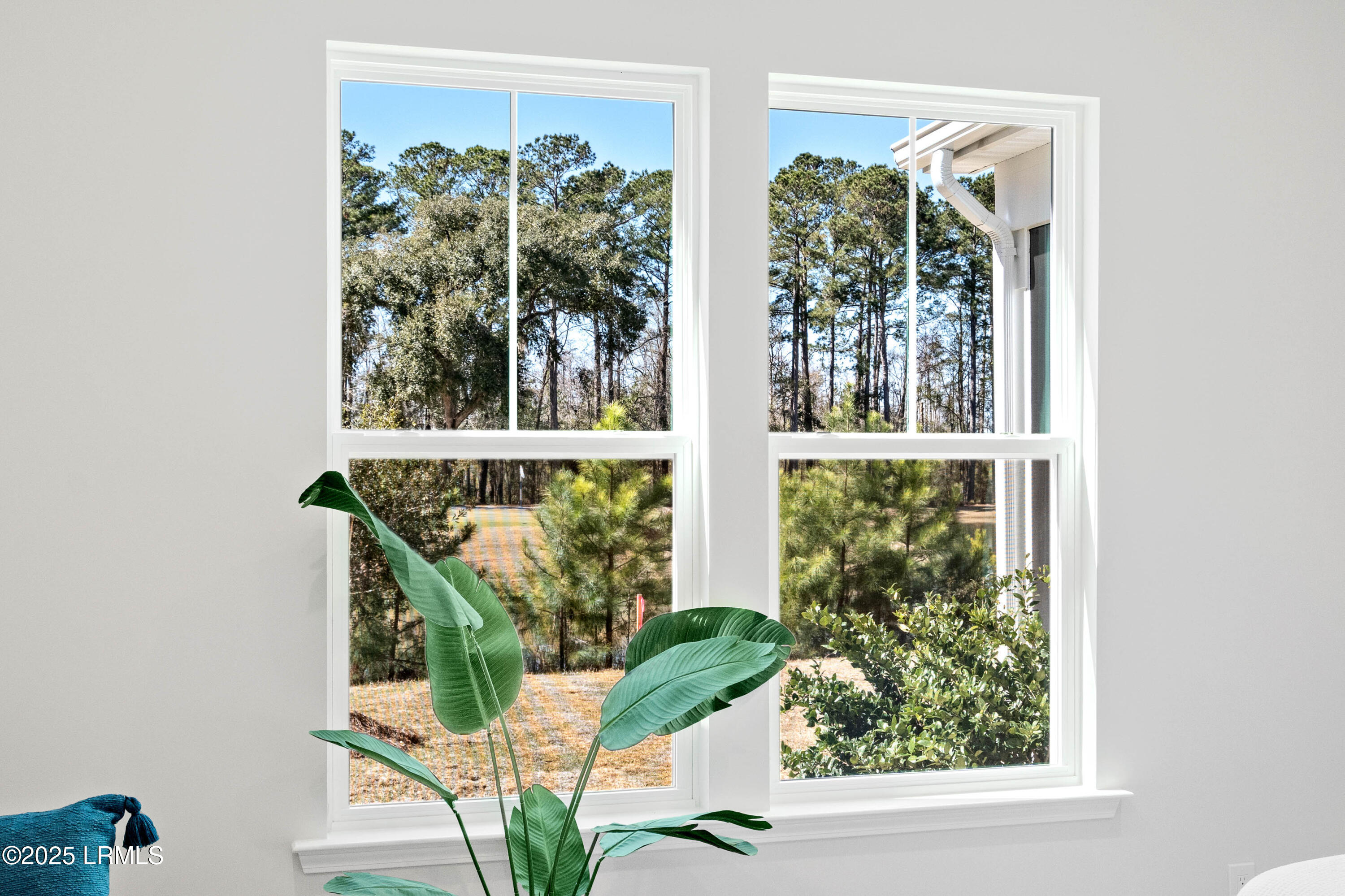 113 Oleander Way