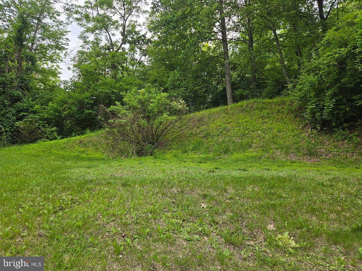 76 POWERLINE ROAD