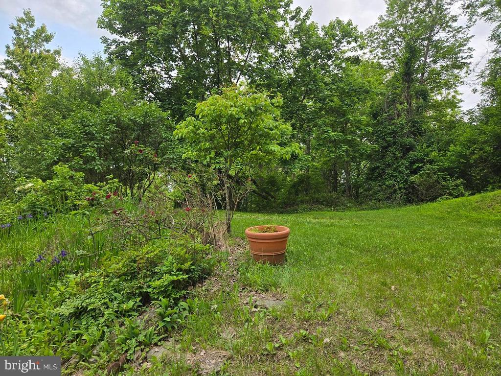 76 POWERLINE ROAD