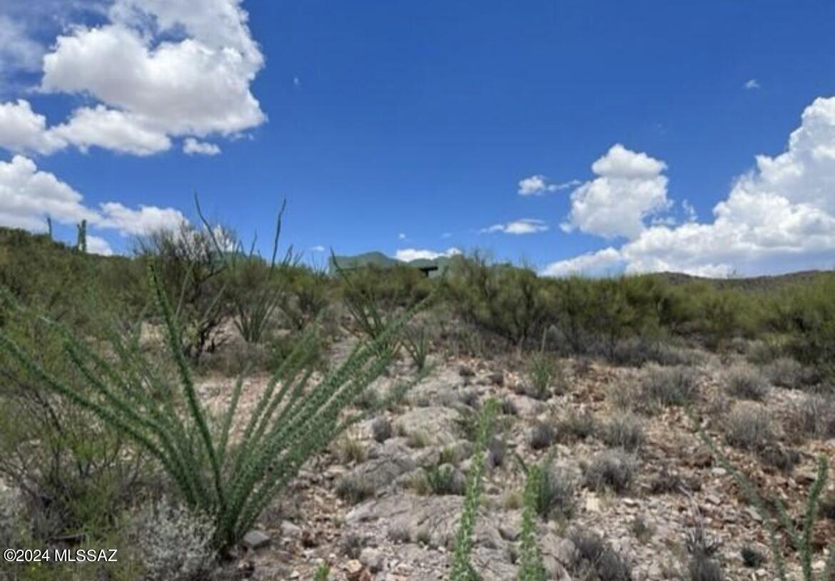 15575 E Colossal Cave Road