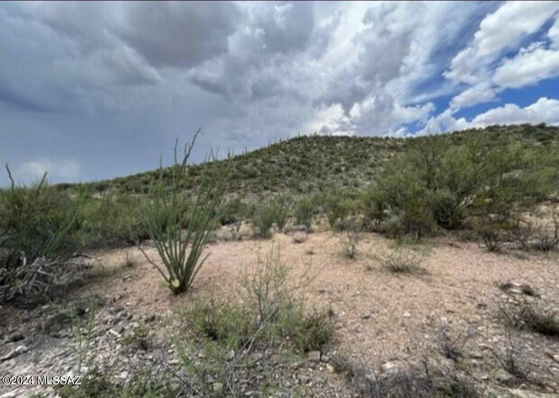 15575 E Colossal Cave Road