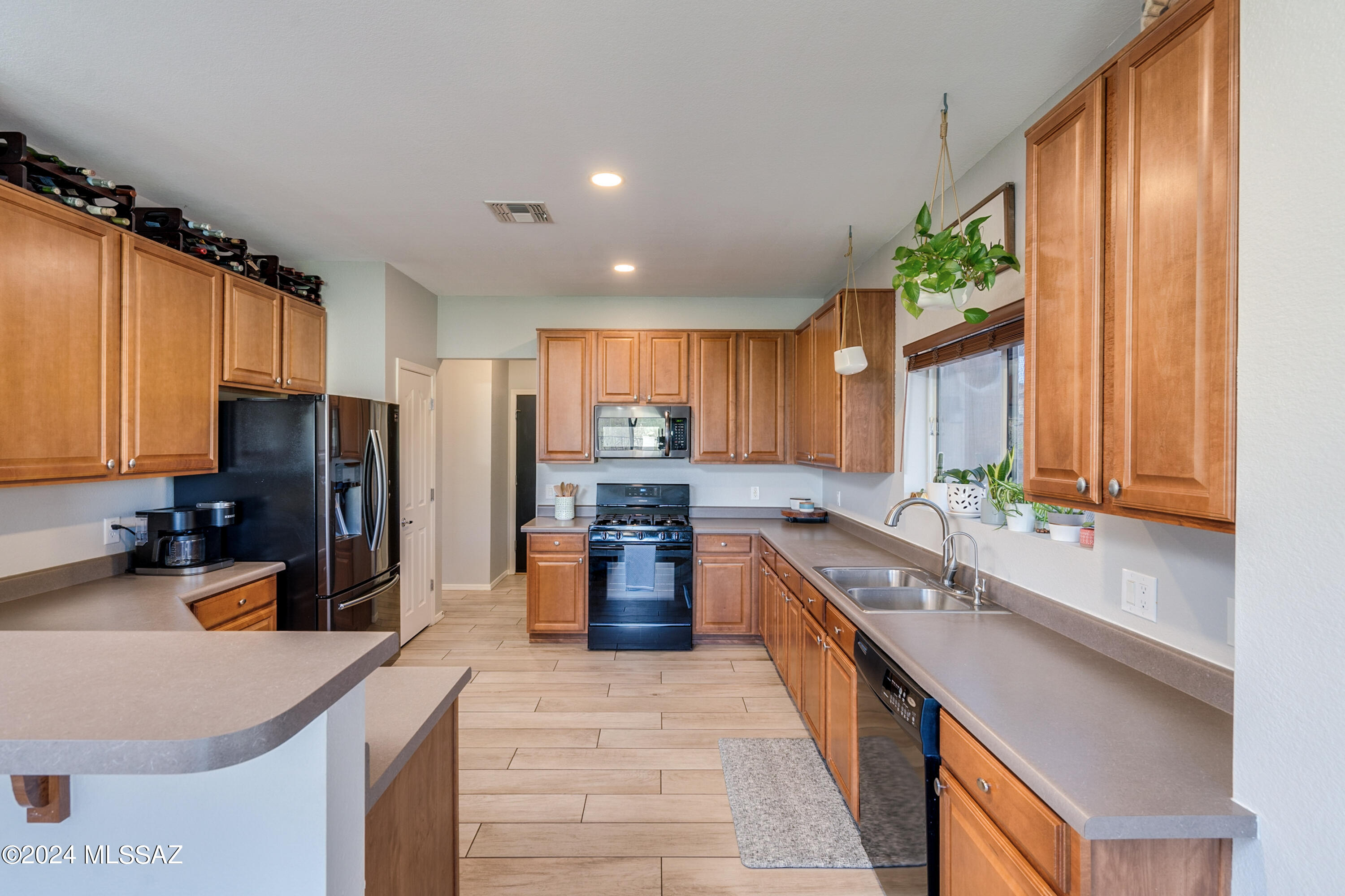 1168 W Camino Hombre Viejo