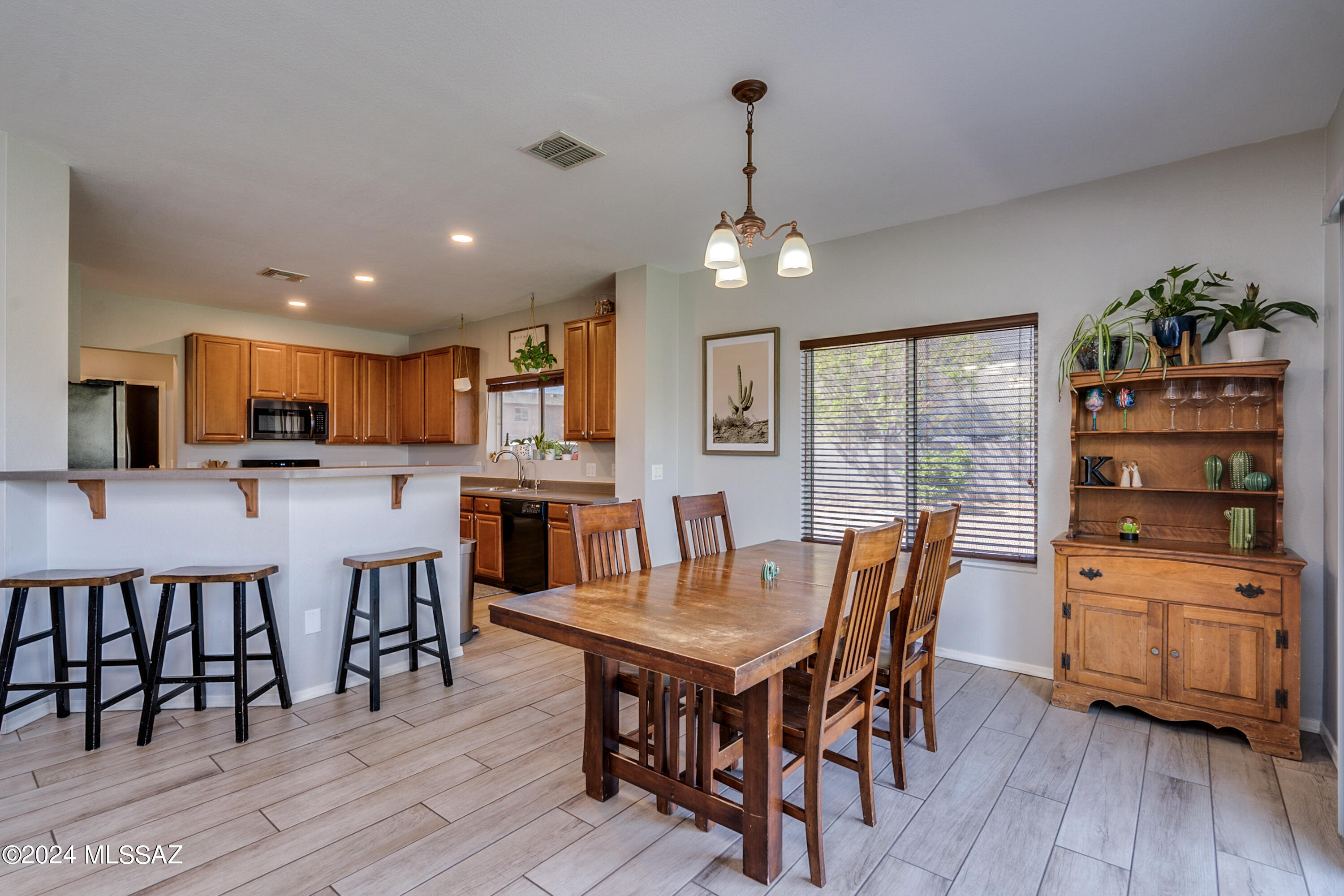 1168 W Camino Hombre Viejo