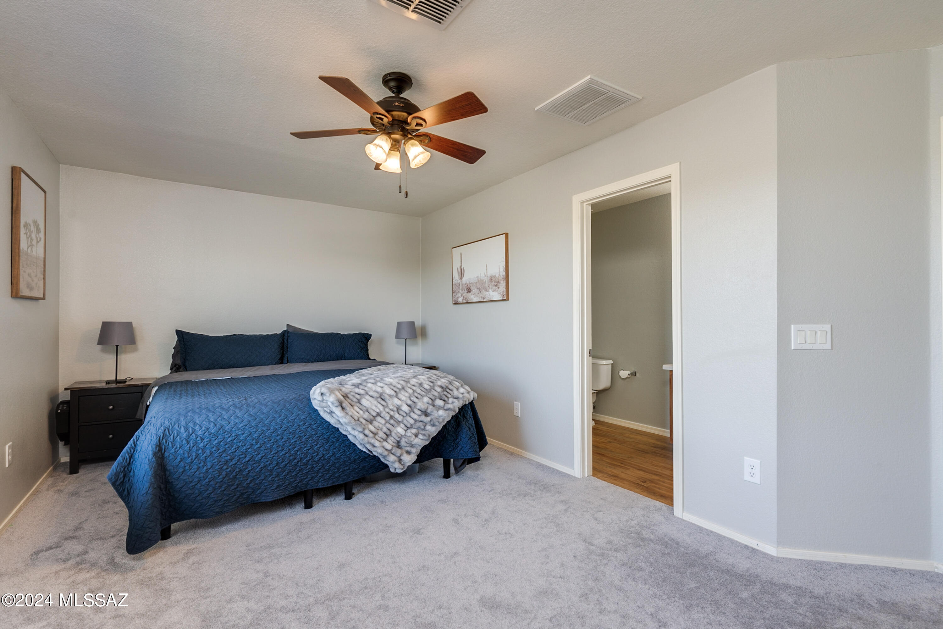 1168 W Camino Hombre Viejo