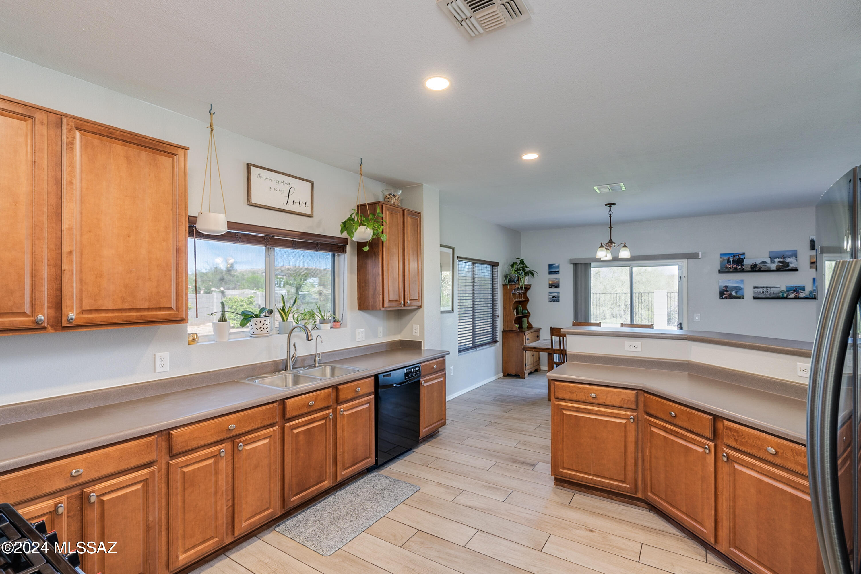 1168 W Camino Hombre Viejo