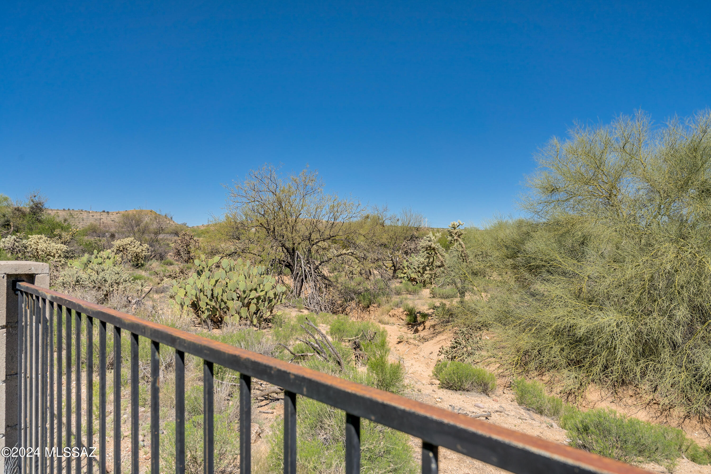 1168 W Camino Hombre Viejo