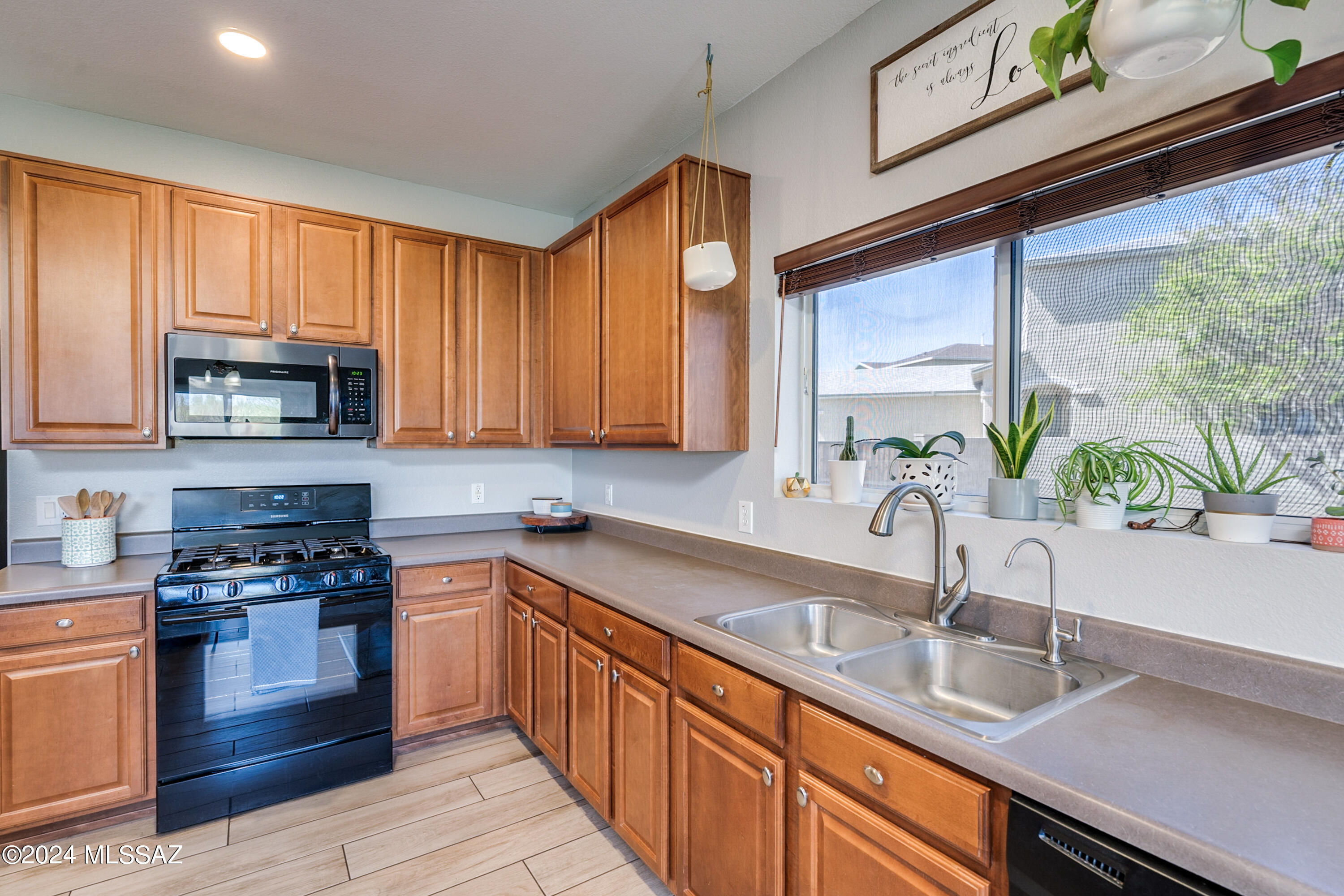 1168 W Camino Hombre Viejo
