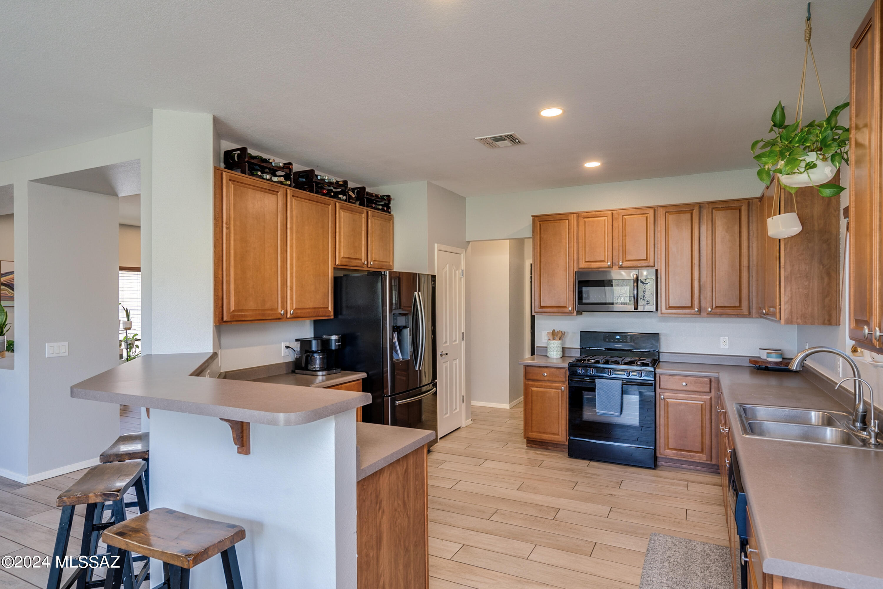1168 W Camino Hombre Viejo